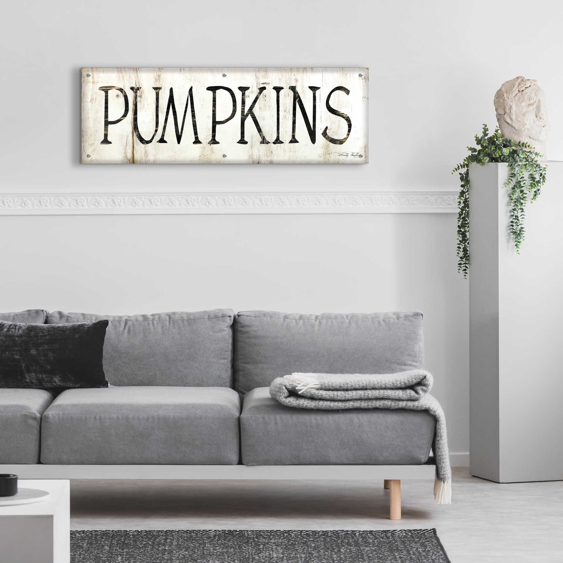 Epic Art 'Pumpkins' by Cindy Jacobs, Acrylic Glass Wall Art,48x16