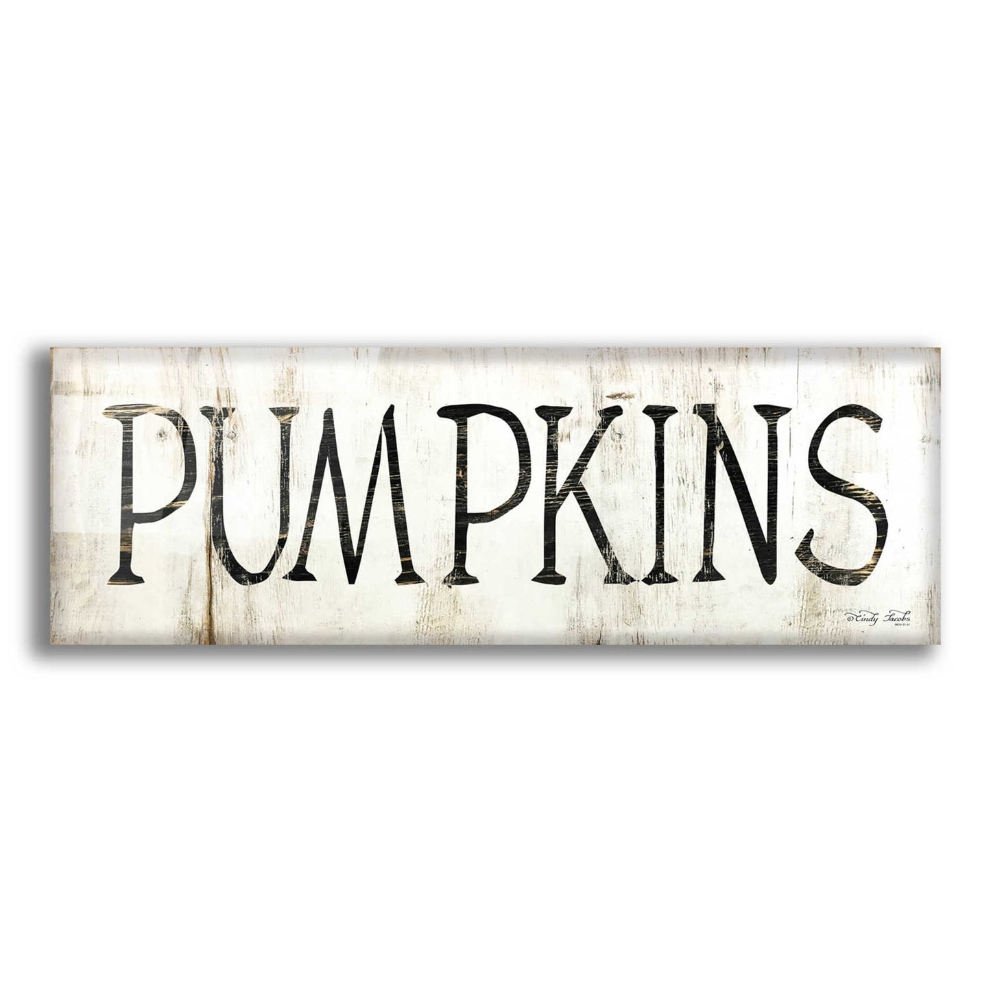 Epic Art 'Pumpkins' by Cindy Jacobs, Acrylic Glass Wall Art,3:1