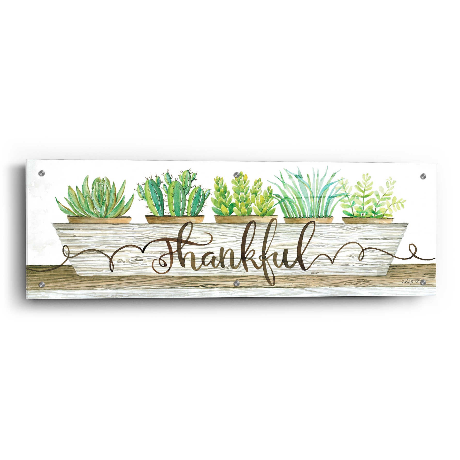 Epic Art 'Thankful Succulent Pots' by Cindy Jacobs, Acrylic Glass Wall Art,36x12