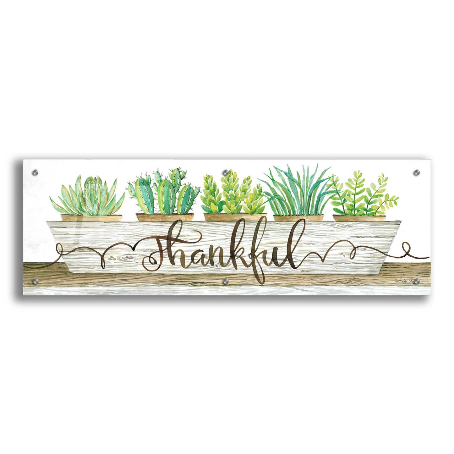 Epic Art 'Thankful Succulent Pots' by Cindy Jacobs, Acrylic Glass Wall Art,36x12