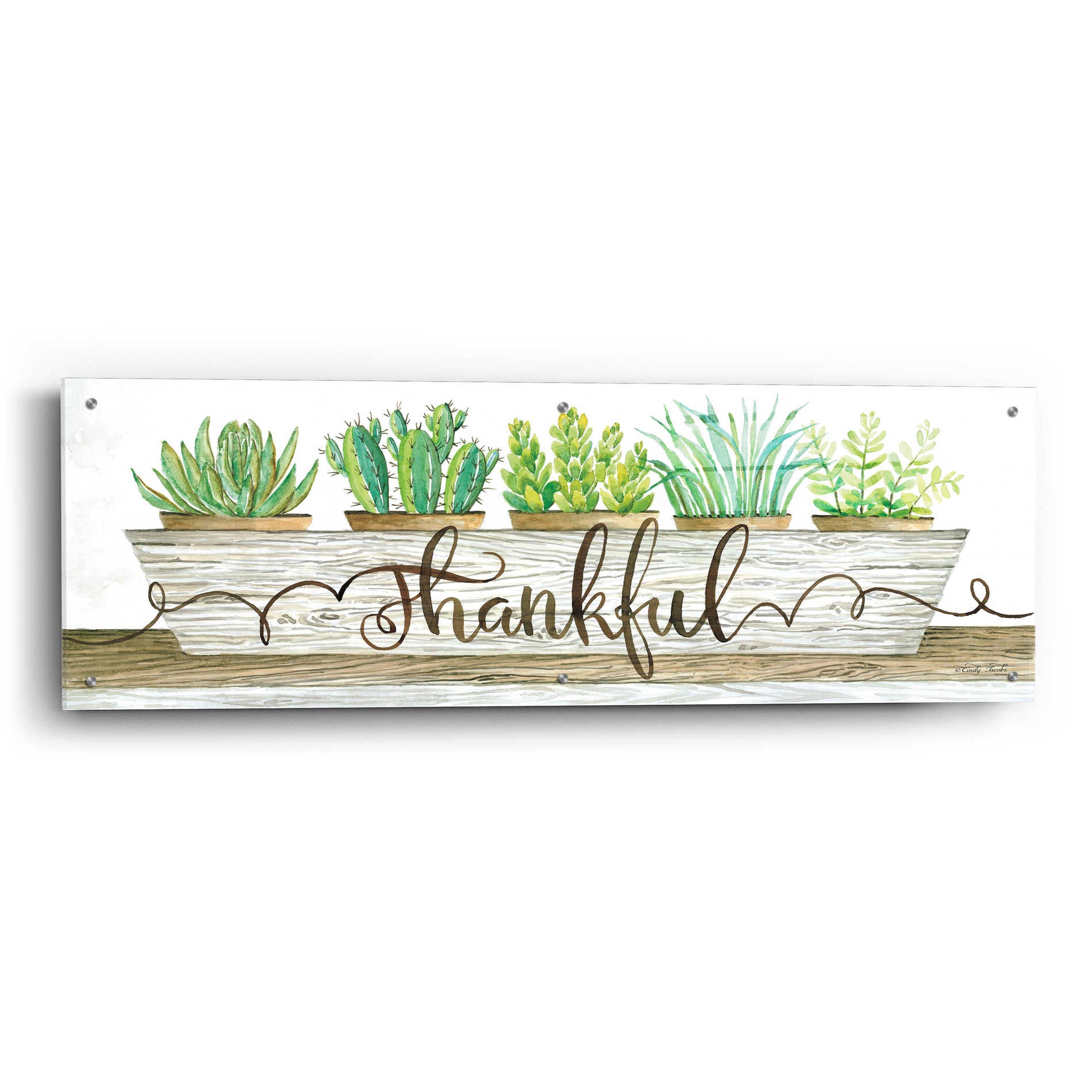 Epic Art 'Thankful Succulent Pots' by Cindy Jacobs, Acrylic Glass Wall Art,48x16