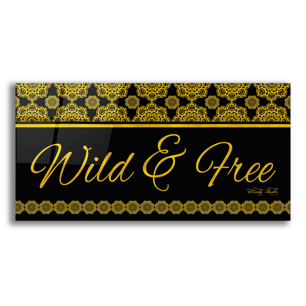 Epic Art 'Wild and Free Mandalas' by Cindy Jacobs, Acrylic Glass Wall Art,2:1