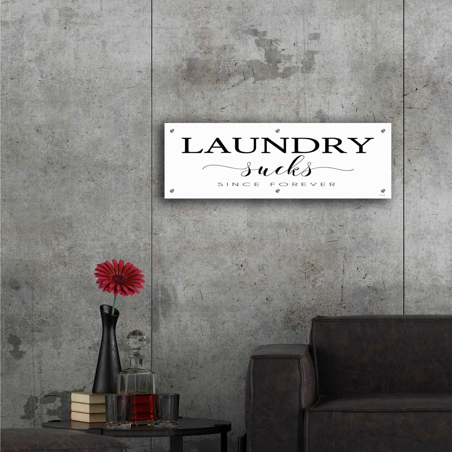 Epic Art 'Laundry Sucks' by Cindy Jacobs, Acrylic Glass Wall Art,36x12