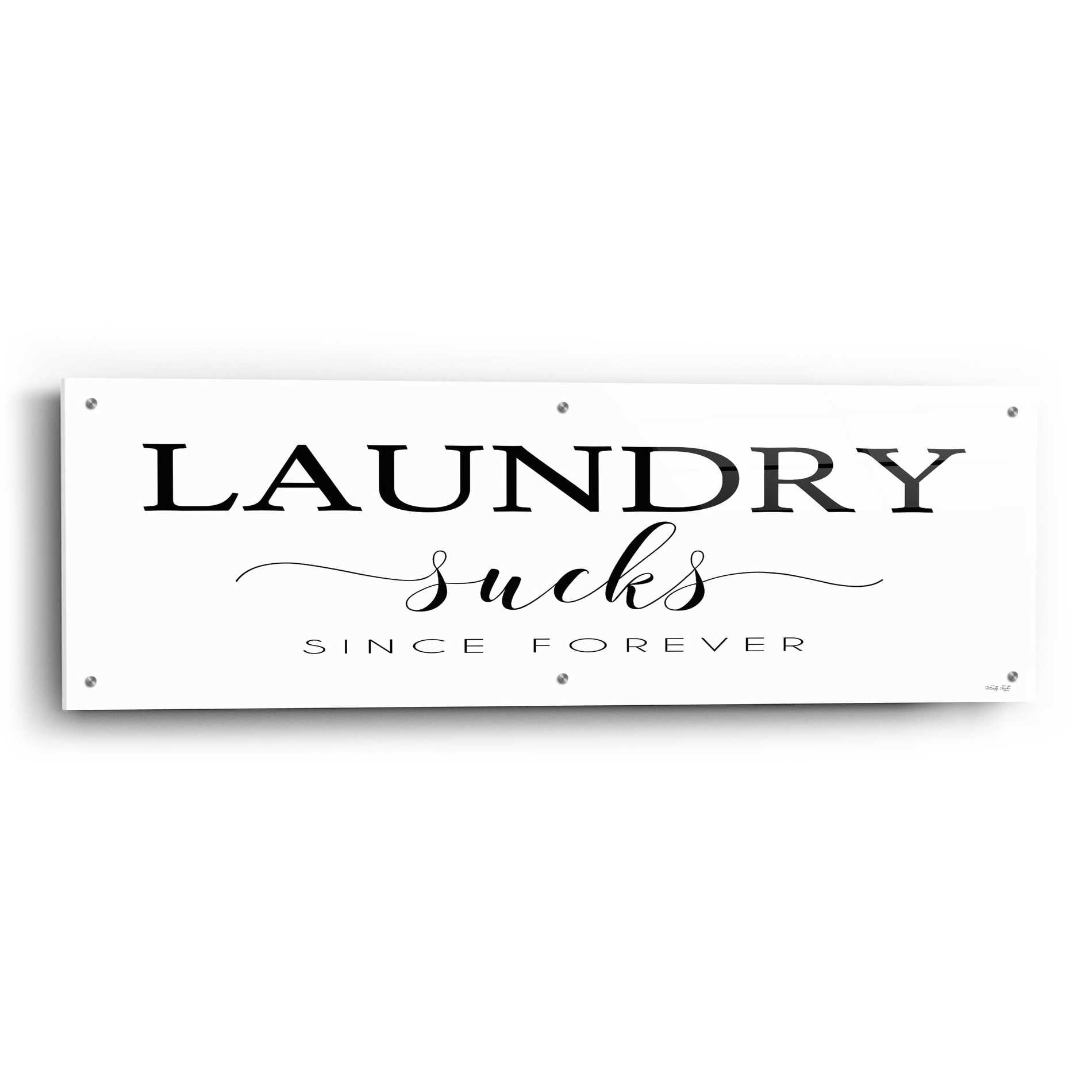 Epic Art 'Laundry Sucks' by Cindy Jacobs, Acrylic Glass Wall Art,48x16