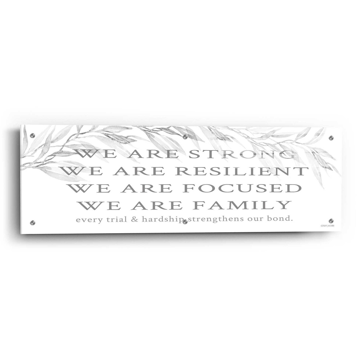 Epic Art 'We Are Family' by Cindy Jacobs, Acrylic Glass Wall Art,36x12