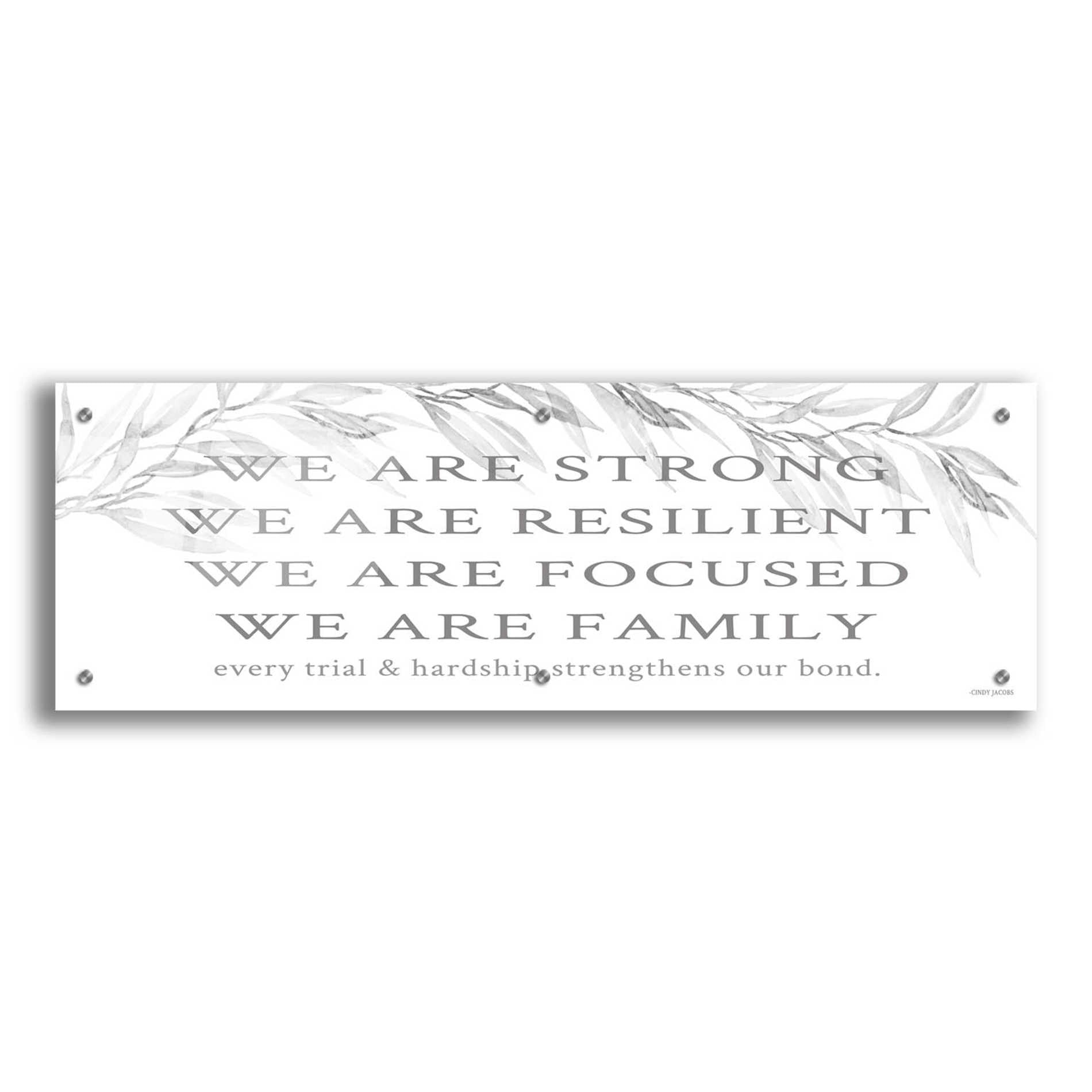 Epic Art 'We Are Family' by Cindy Jacobs, Acrylic Glass Wall Art,36x12