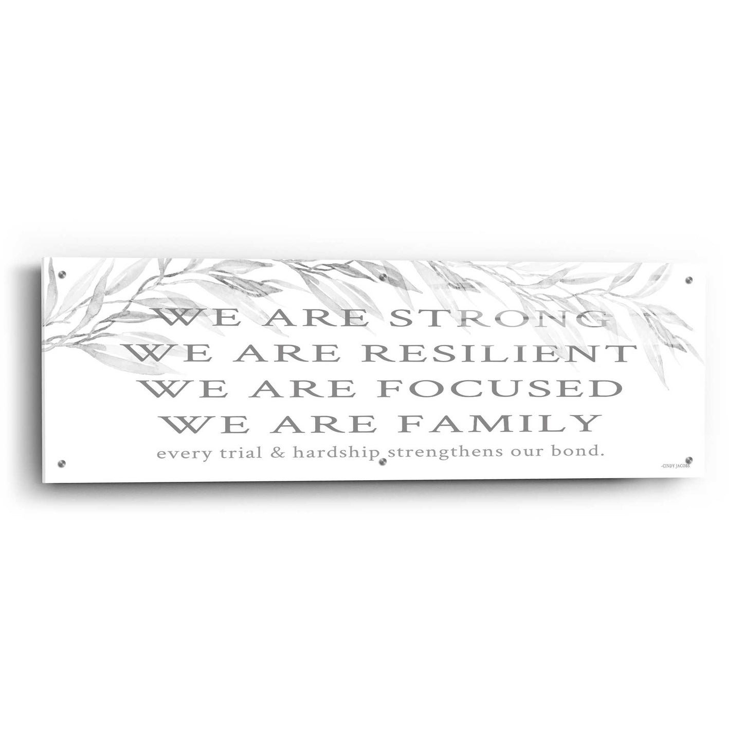 Epic Art 'We Are Family' by Cindy Jacobs, Acrylic Glass Wall Art,48x16