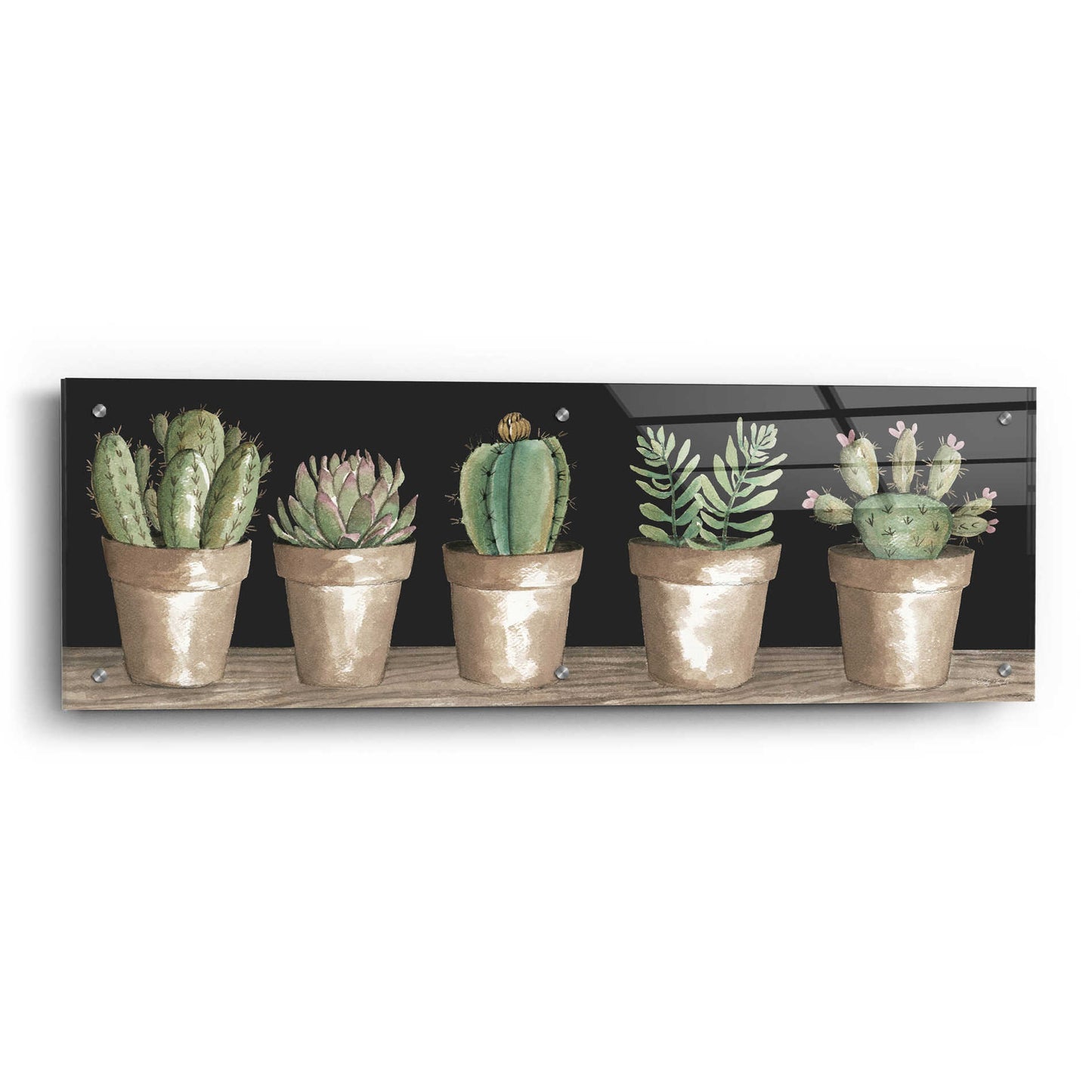 Epic Art 'Cactus Row' by Cindy Jacobs, Acrylic Glass Wall Art,36x12