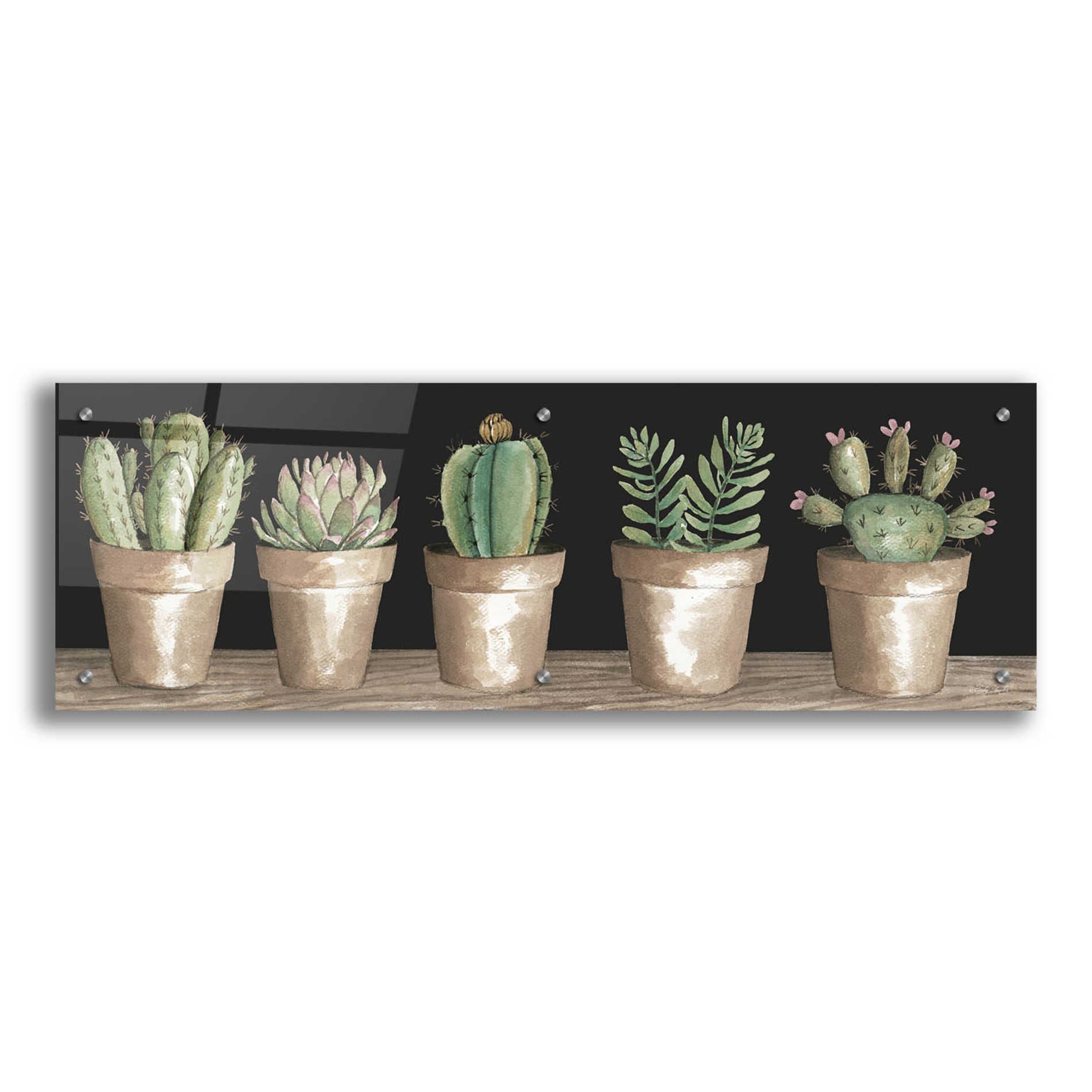 Epic Art 'Cactus Row' by Cindy Jacobs, Acrylic Glass Wall Art,36x12