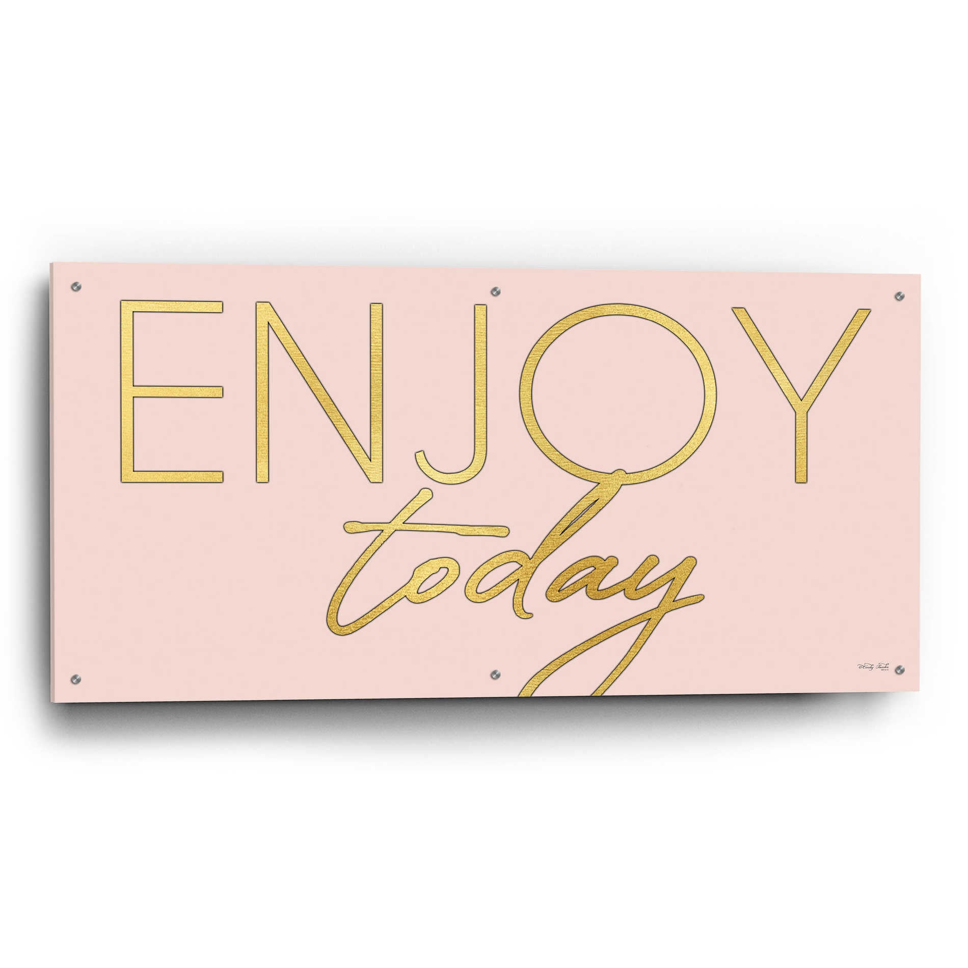 Epic Art 'Enjoy Today' by Cindy Jacobs, Acrylic Glass Wall Art,48x24