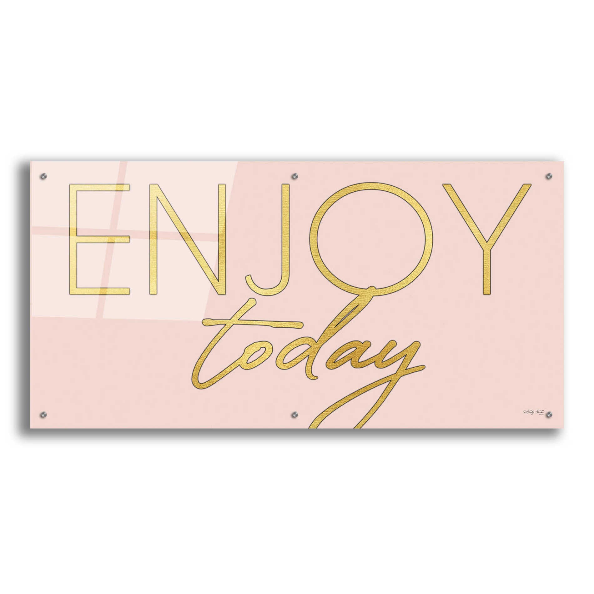 Epic Art 'Enjoy Today' by Cindy Jacobs, Acrylic Glass Wall Art,48x24