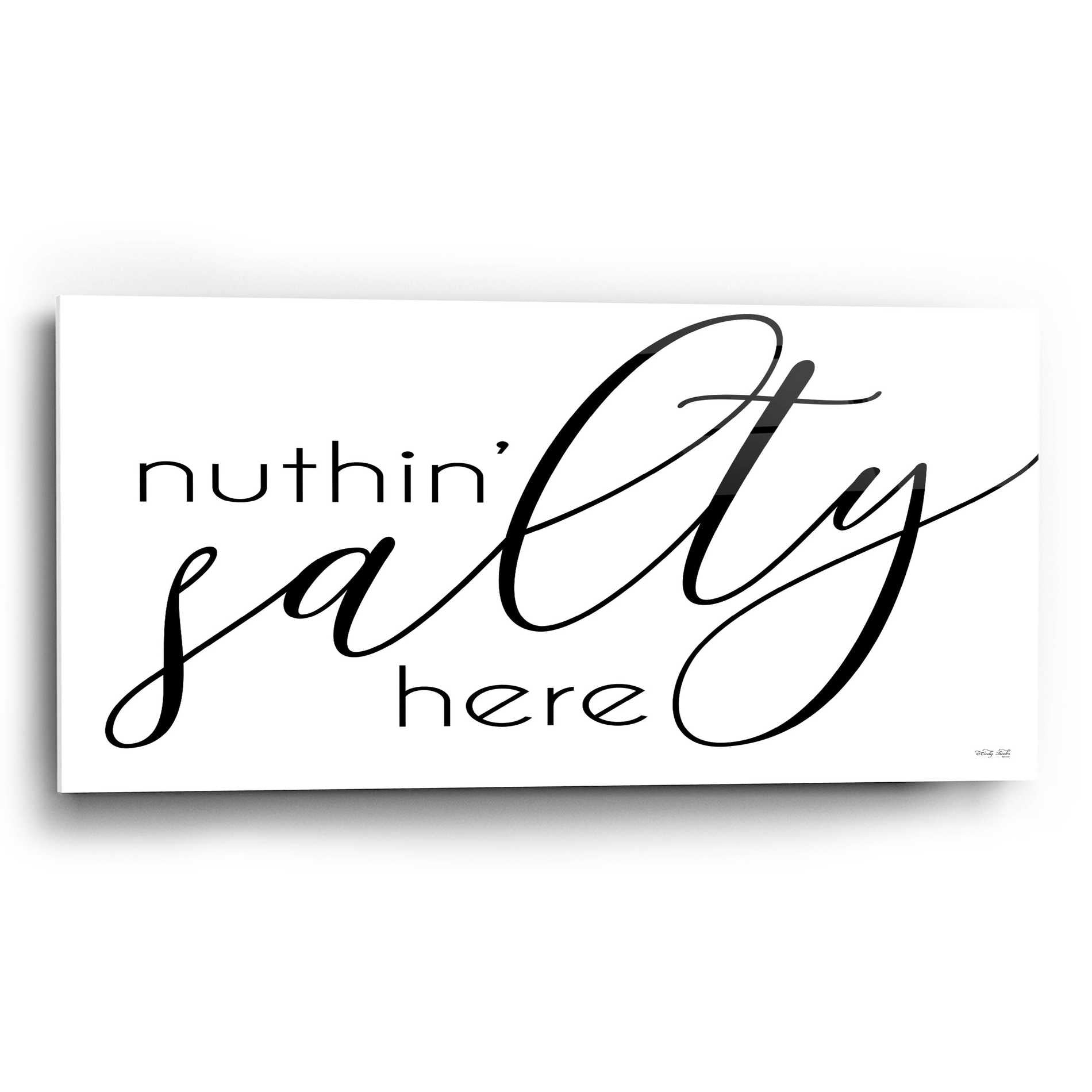 Epic Art 'Nuth'n Salty Here' by Cindy Jacobs, Acrylic Glass Wall Art,24x12