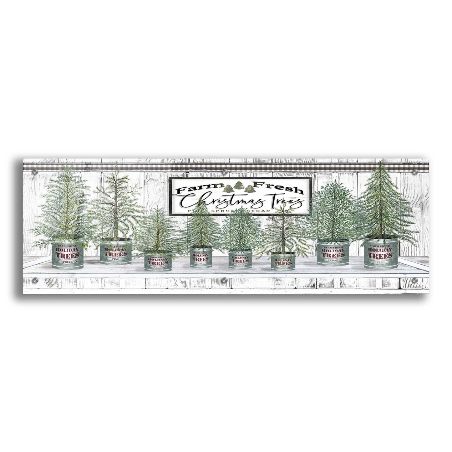 Epic Art 'Galvanized Pots White Christmas Trees I' by Cindy Jacobs, Acrylic Glass Wall Art,36x12