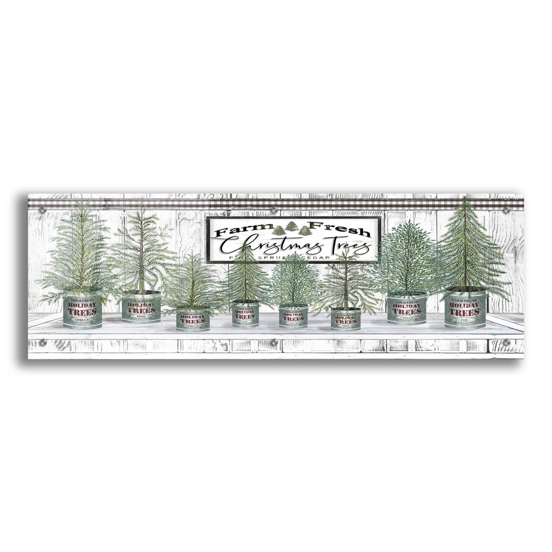 Epic Art 'Galvanized Pots White Christmas Trees I' by Cindy Jacobs, Acrylic Glass Wall Art,36x12