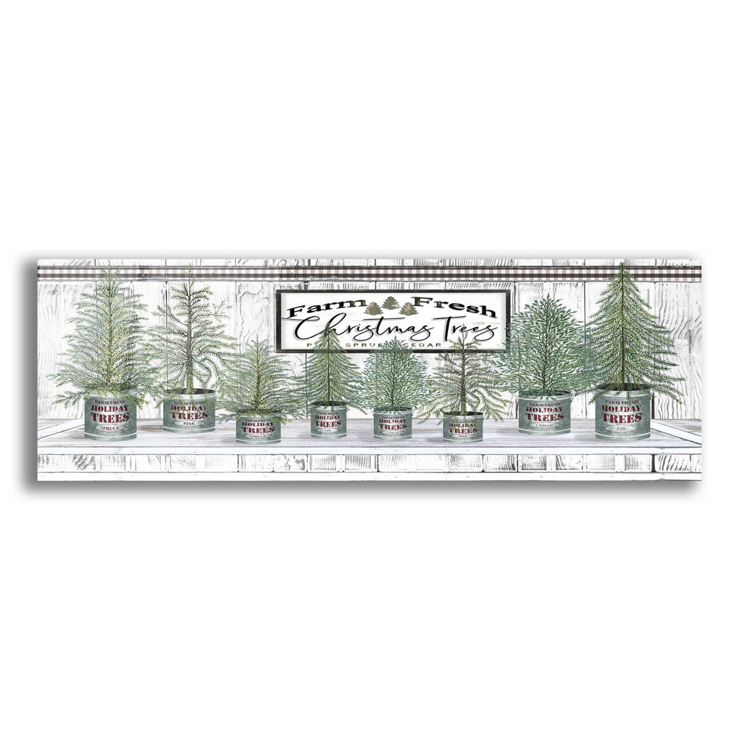 Epic Art 'Galvanized Pots White Christmas Trees I' by Cindy Jacobs, Acrylic Glass Wall Art,3:1