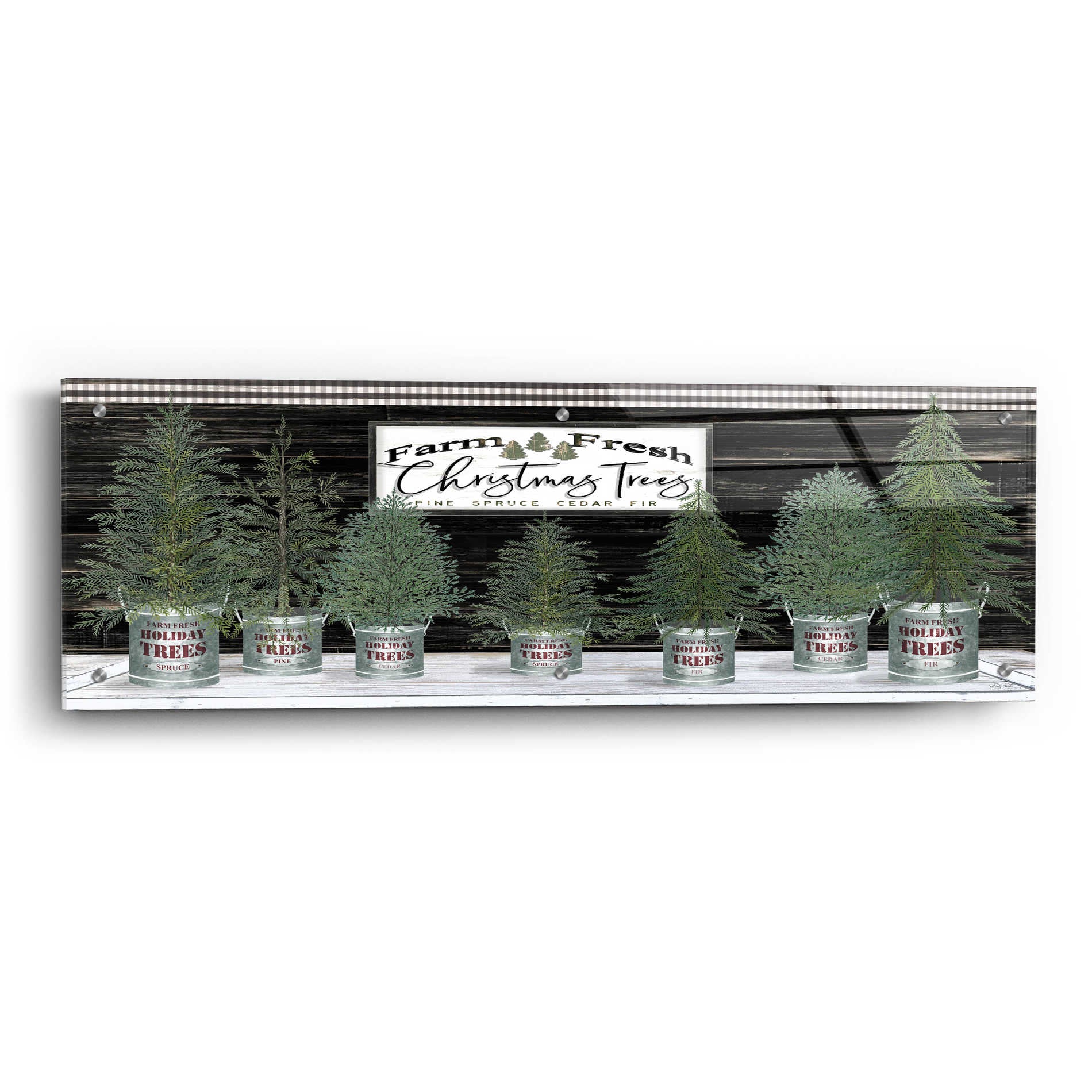 Epic Art 'Galvanized Pots Christmas Trees I' by Cindy Jacobs, Acrylic Glass Wall Art,36x12