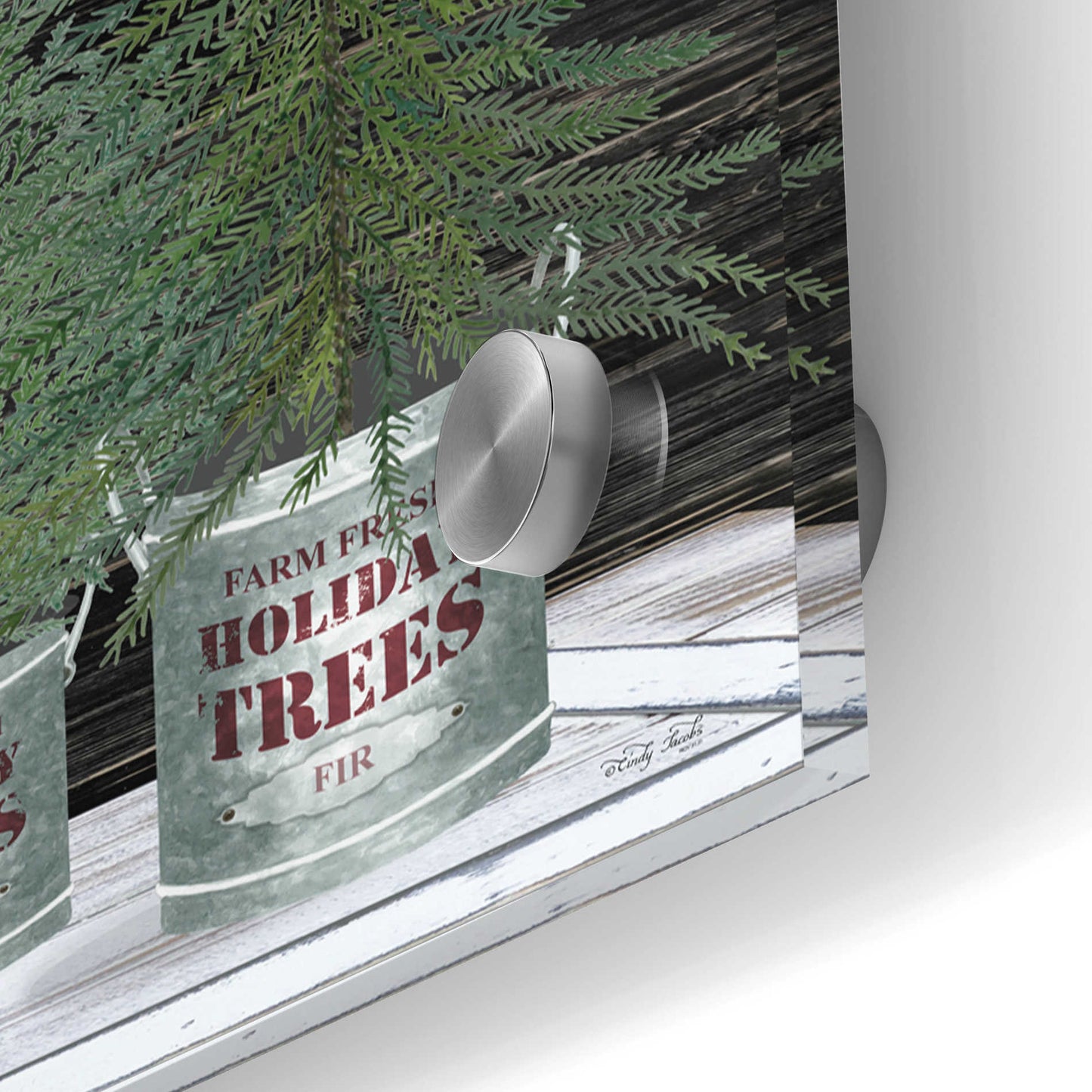 Epic Art 'Galvanized Pots Christmas Trees I' by Cindy Jacobs, Acrylic Glass Wall Art,36x12