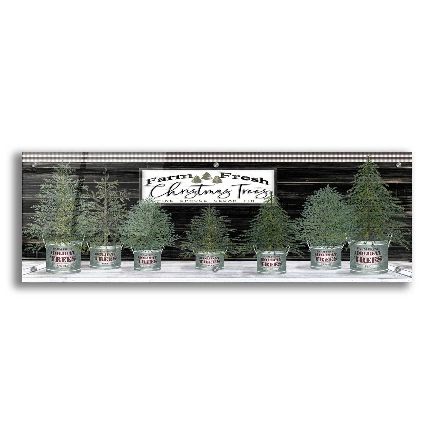 Epic Art 'Galvanized Pots Christmas Trees I' by Cindy Jacobs, Acrylic Glass Wall Art,36x12