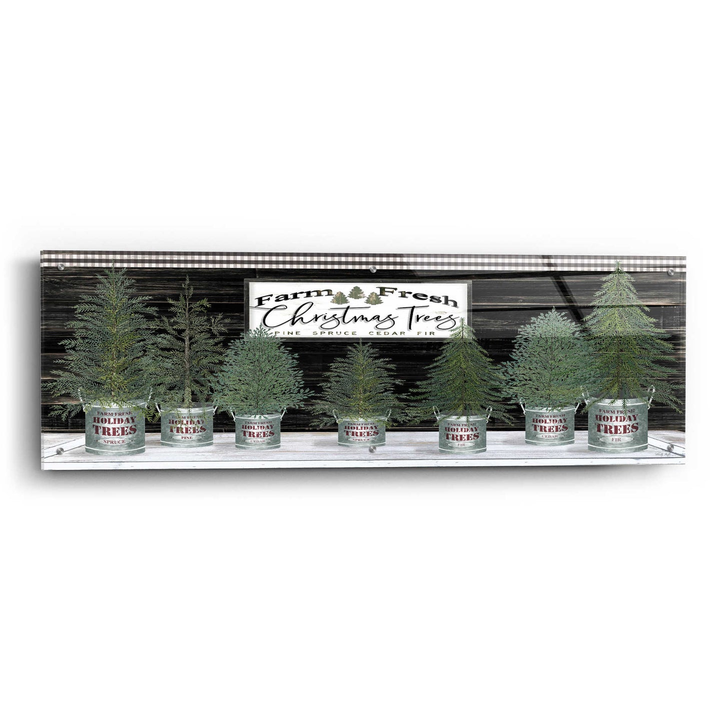 Epic Art 'Galvanized Pots Christmas Trees I' by Cindy Jacobs, Acrylic Glass Wall Art,48x16