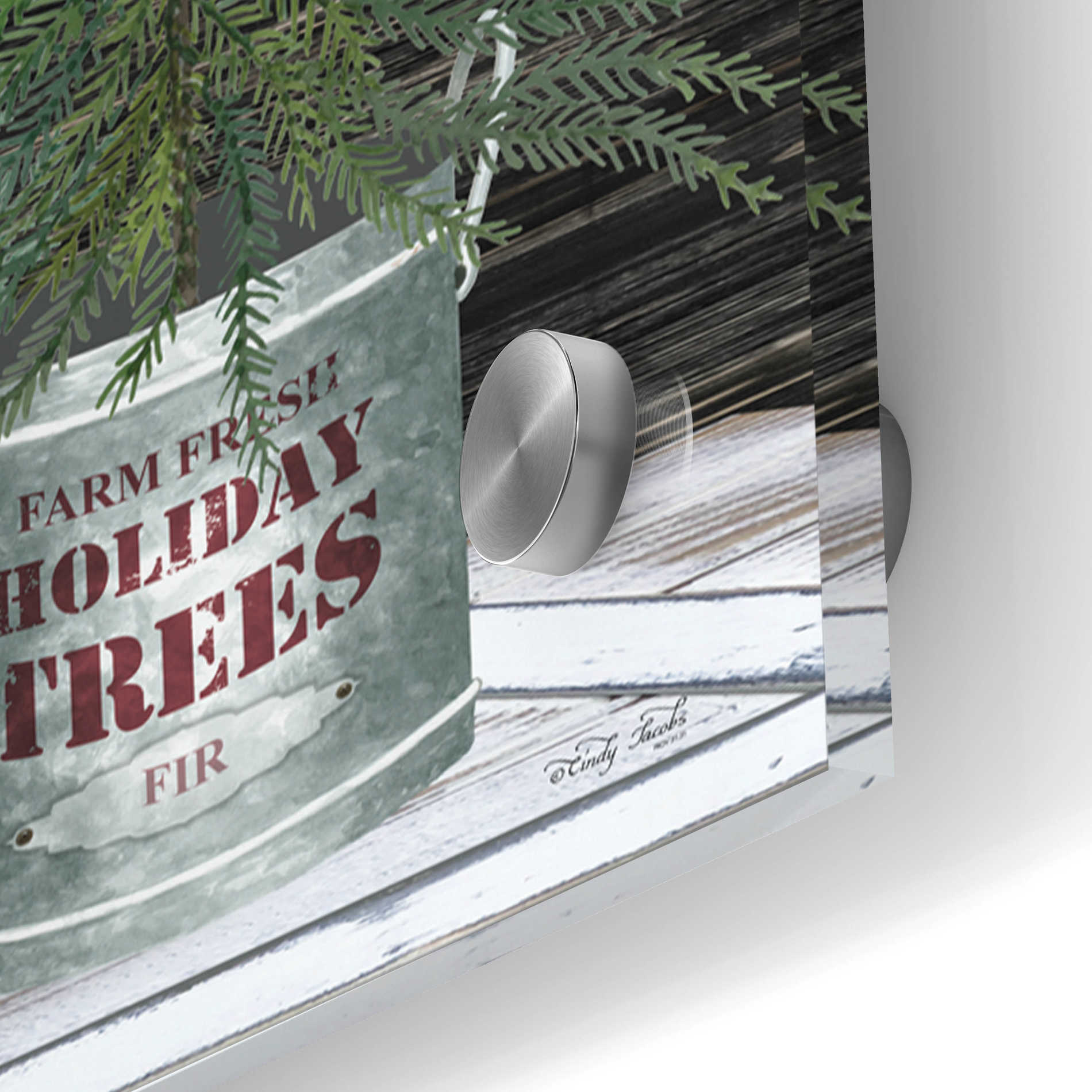 Epic Art 'Galvanized Pots Christmas Trees I' by Cindy Jacobs, Acrylic Glass Wall Art,48x16