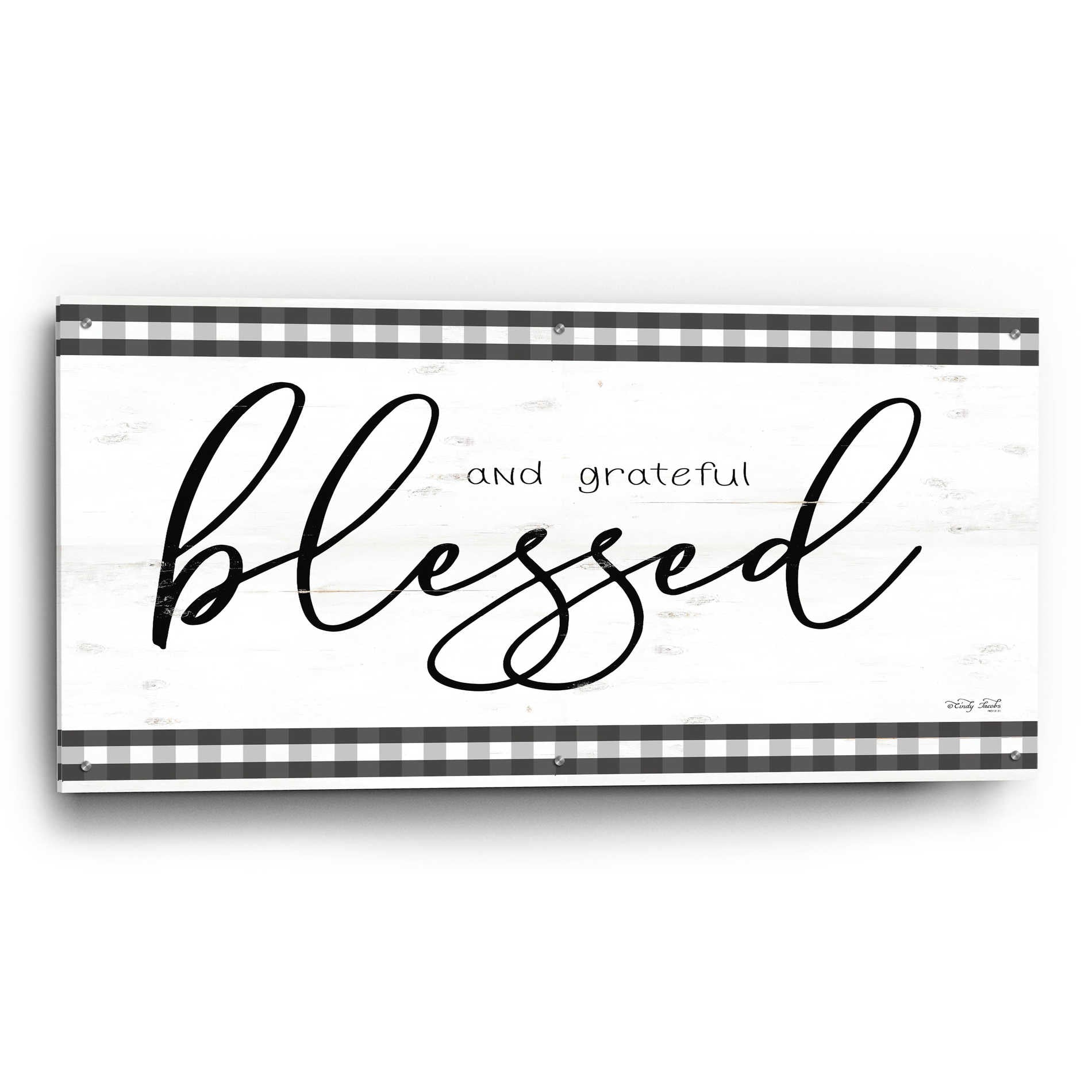 Epic Art 'Blessed and Grateful Plaid' by Cindy Jacobs, Acrylic Glass Wall Art,48x24