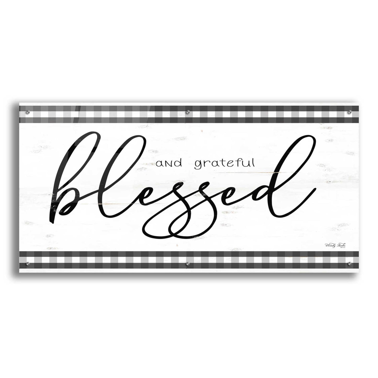 Epic Art 'Blessed and Grateful Plaid' by Cindy Jacobs, Acrylic Glass Wall Art,48x24