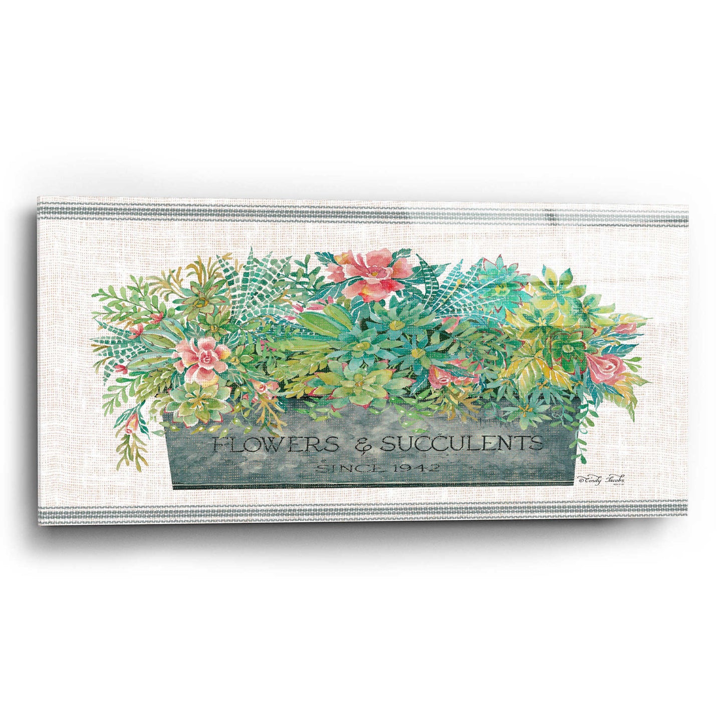 Epic Art 'Flowers & Succulents' by Cindy Jacobs, Acrylic Glass Wall Art,24x12