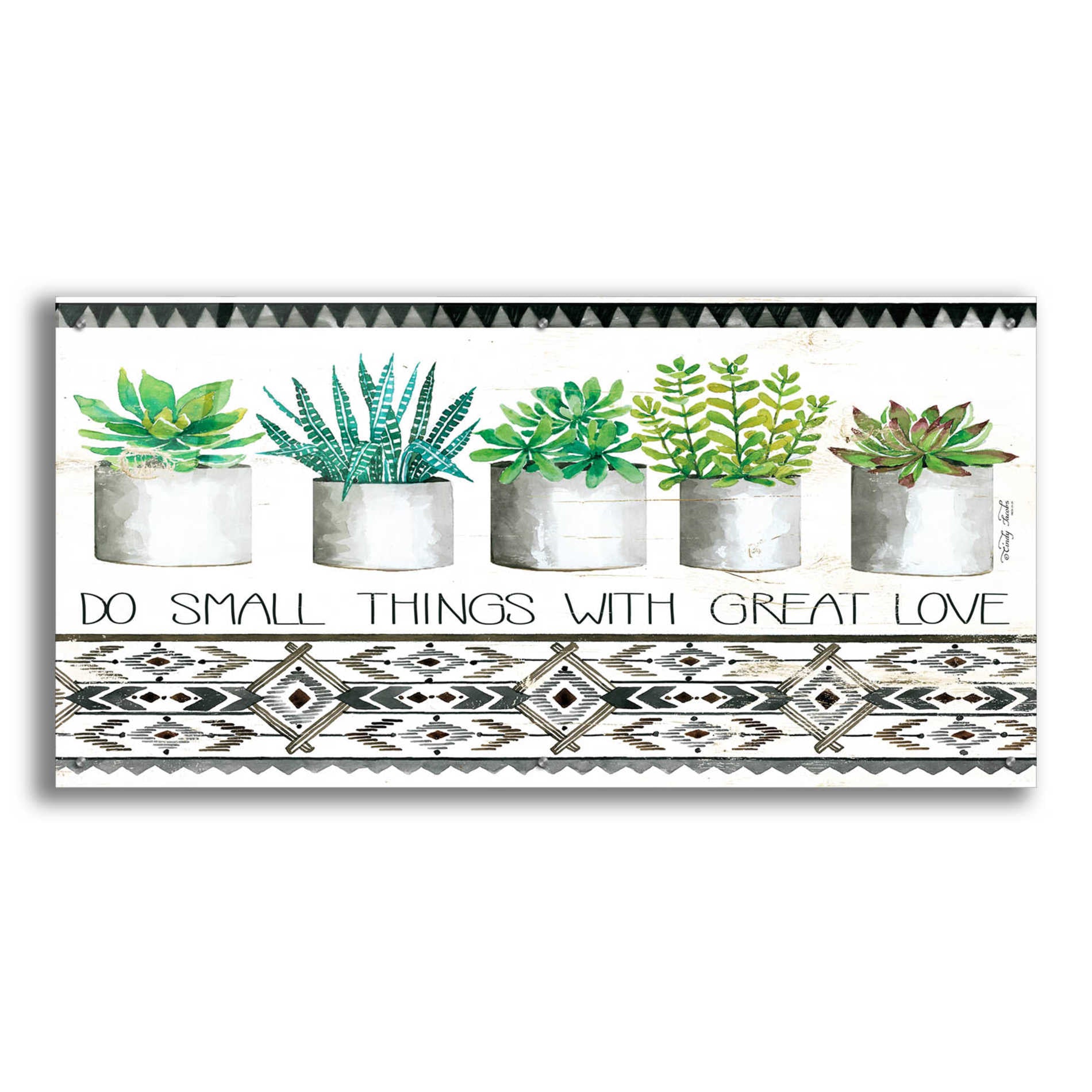 Epic Art 'Do Small Things Succulents' by Cindy Jacobs, Acrylic Glass Wall Art,48x24