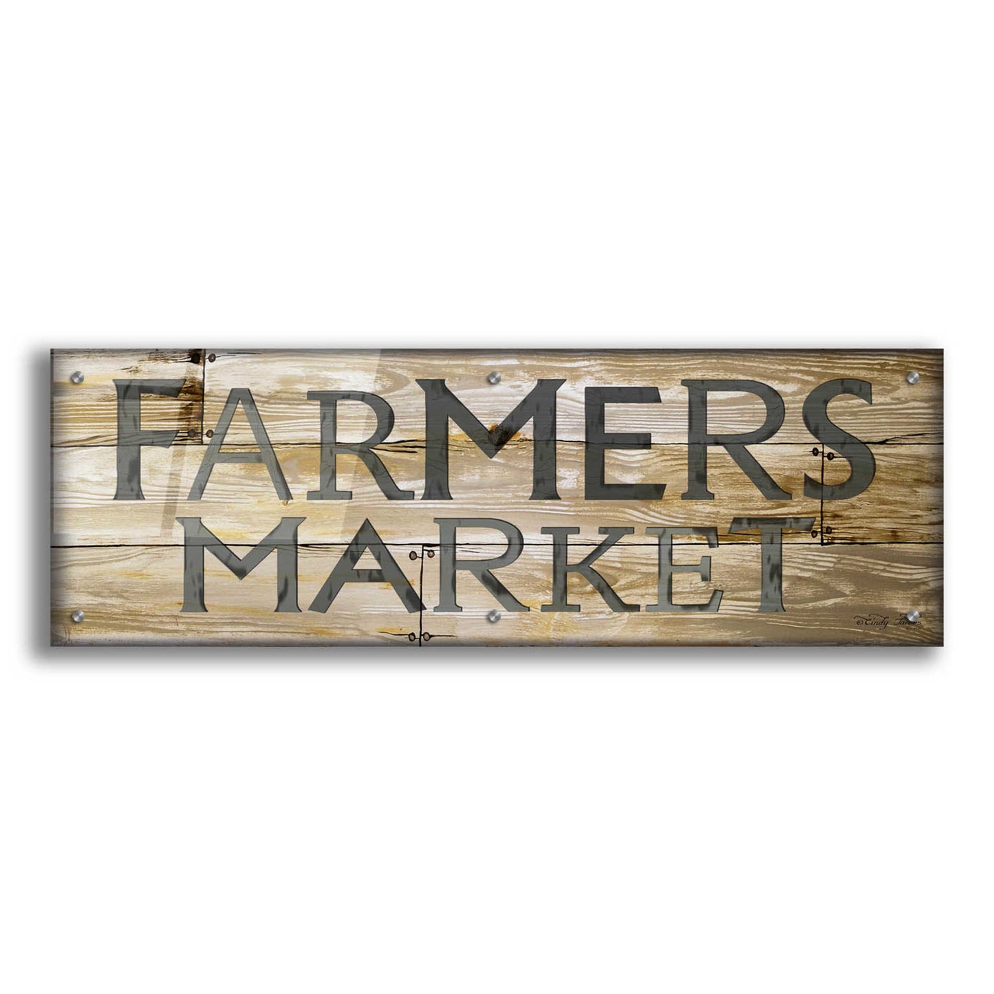 Epic Art 'Farmer's Market' by Cindy Jacobs, Acrylic Glass Wall Art,36x12