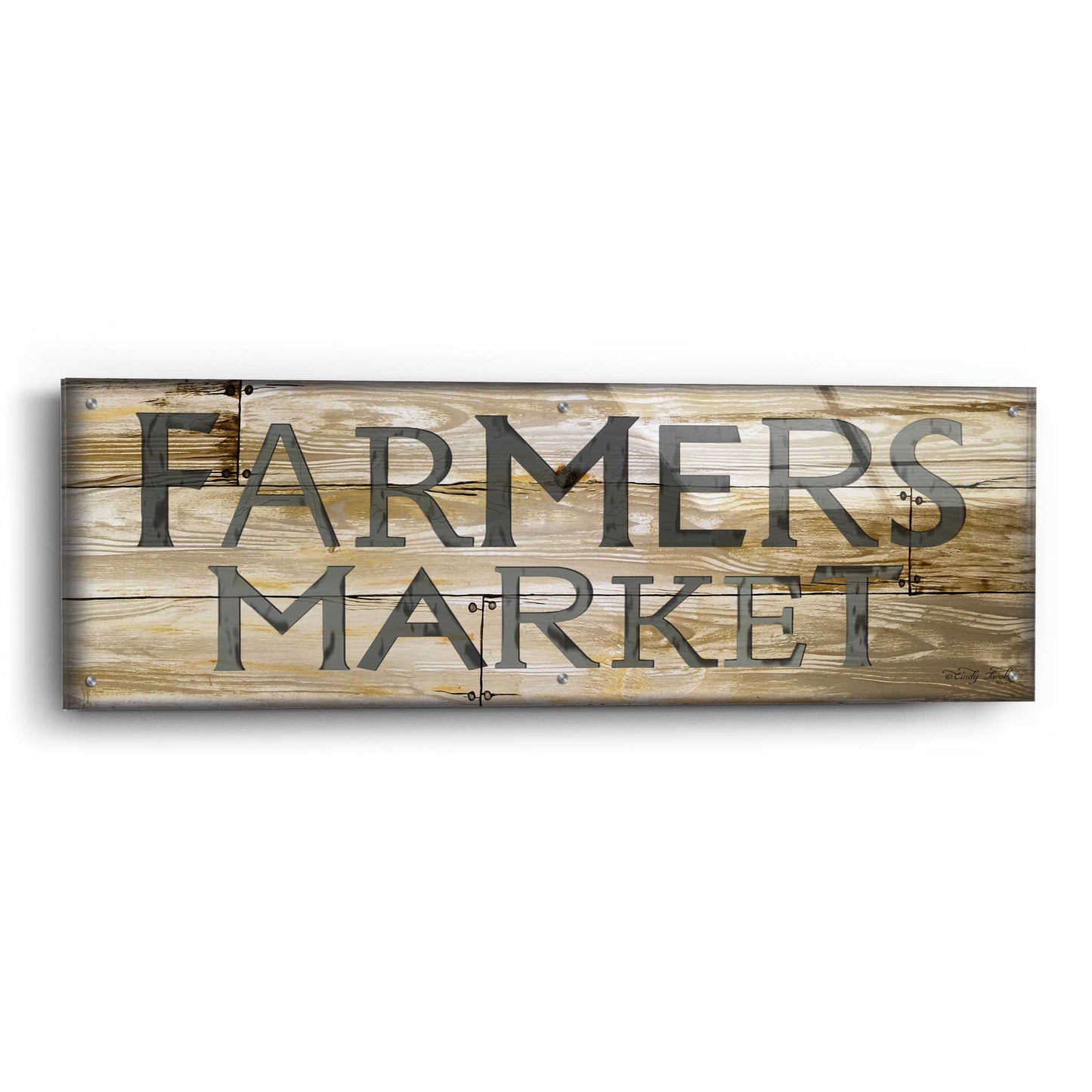 Epic Art 'Farmer's Market' by Cindy Jacobs, Acrylic Glass Wall Art,48x16