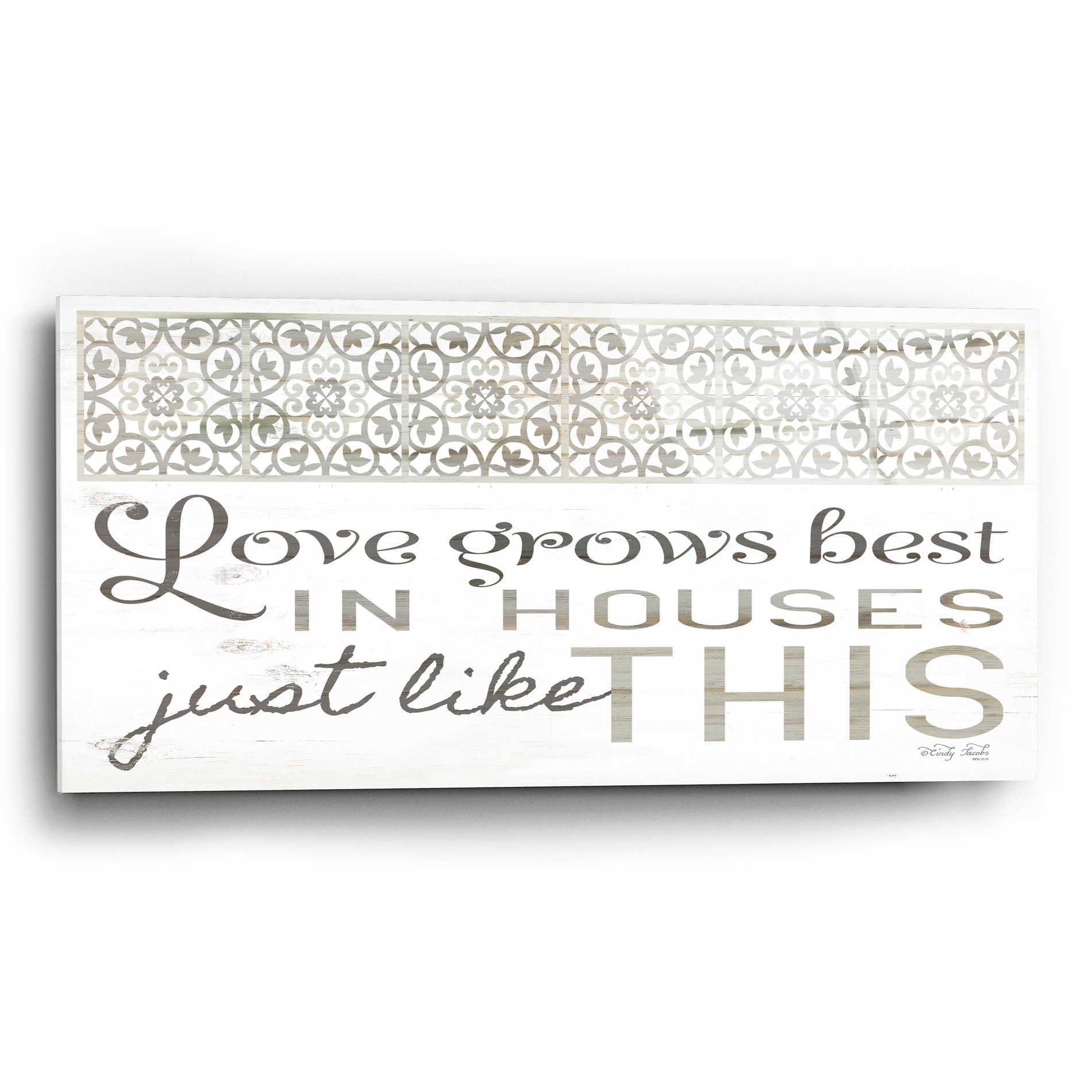 Epic Art 'Love Grows Best' by Cindy Jacobs, Acrylic Glass Wall Art,24x12