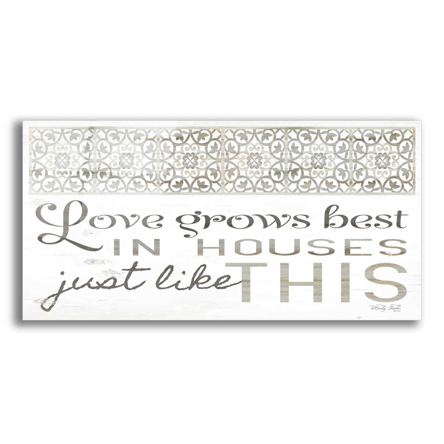 Epic Art 'Love Grows Best' by Cindy Jacobs, Acrylic Glass Wall Art,24x12