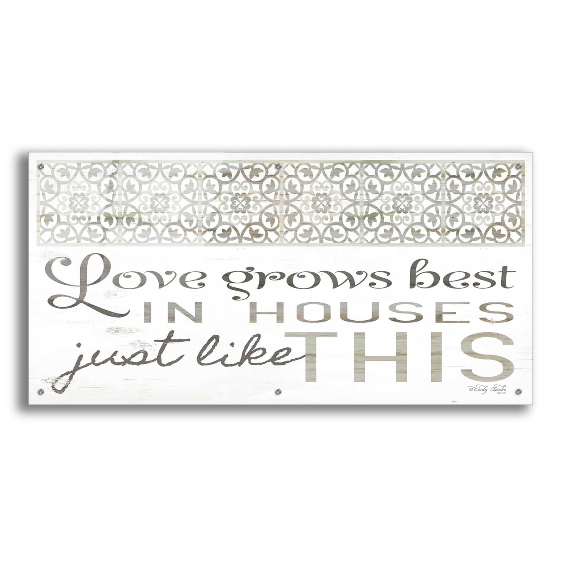 Epic Art 'Love Grows Best' by Cindy Jacobs, Acrylic Glass Wall Art,48x24