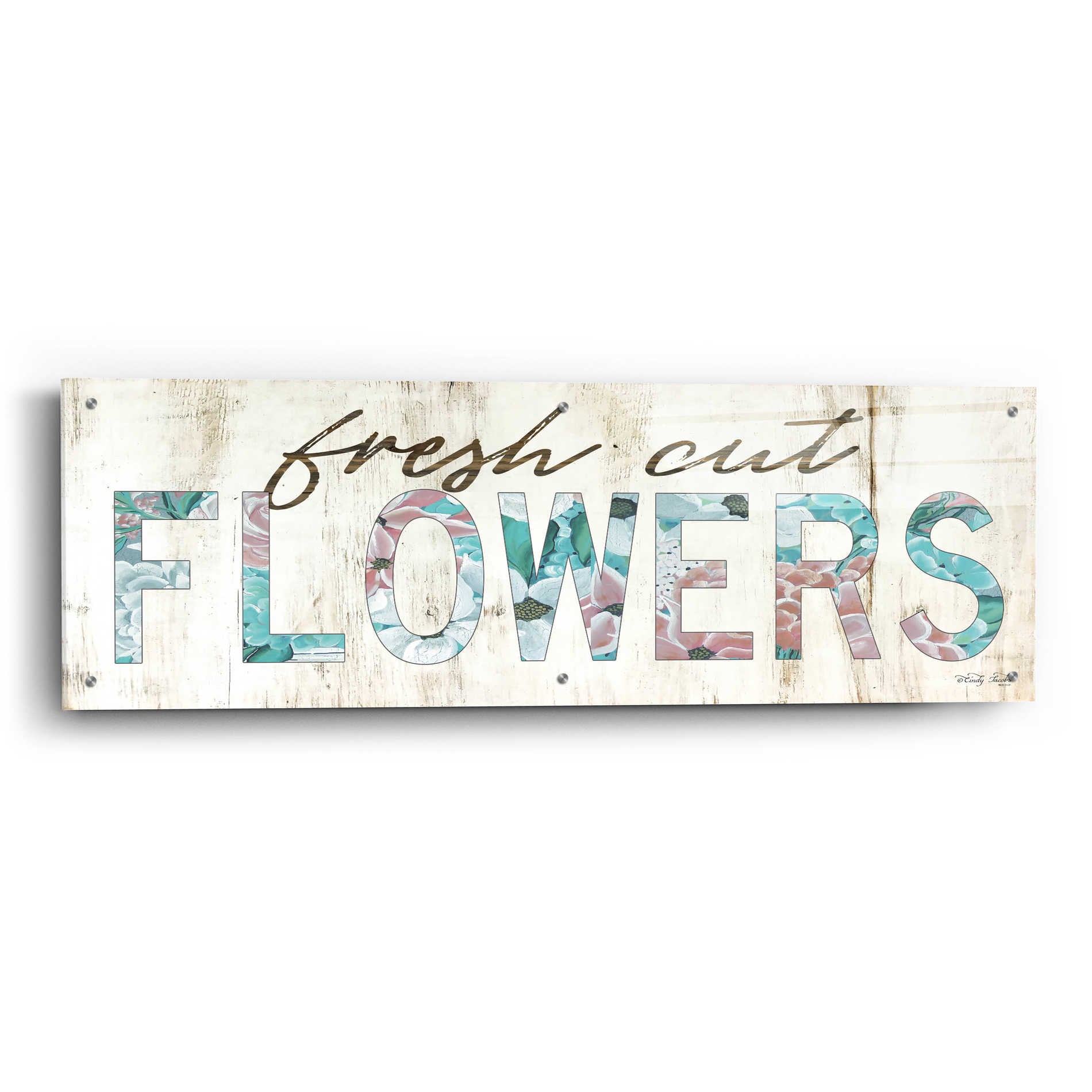 Epic Art 'Fresh Cut Flowers' by Cindy Jacobs, Acrylic Glass Wall Art,48x16