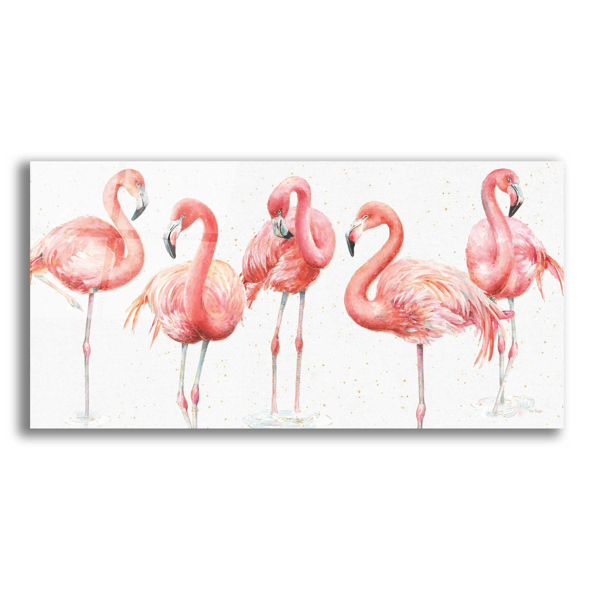 Epic Art 'Gracefully Pink VIII' by Lisa Audit, Acrylic Glass Wall Art,24x12