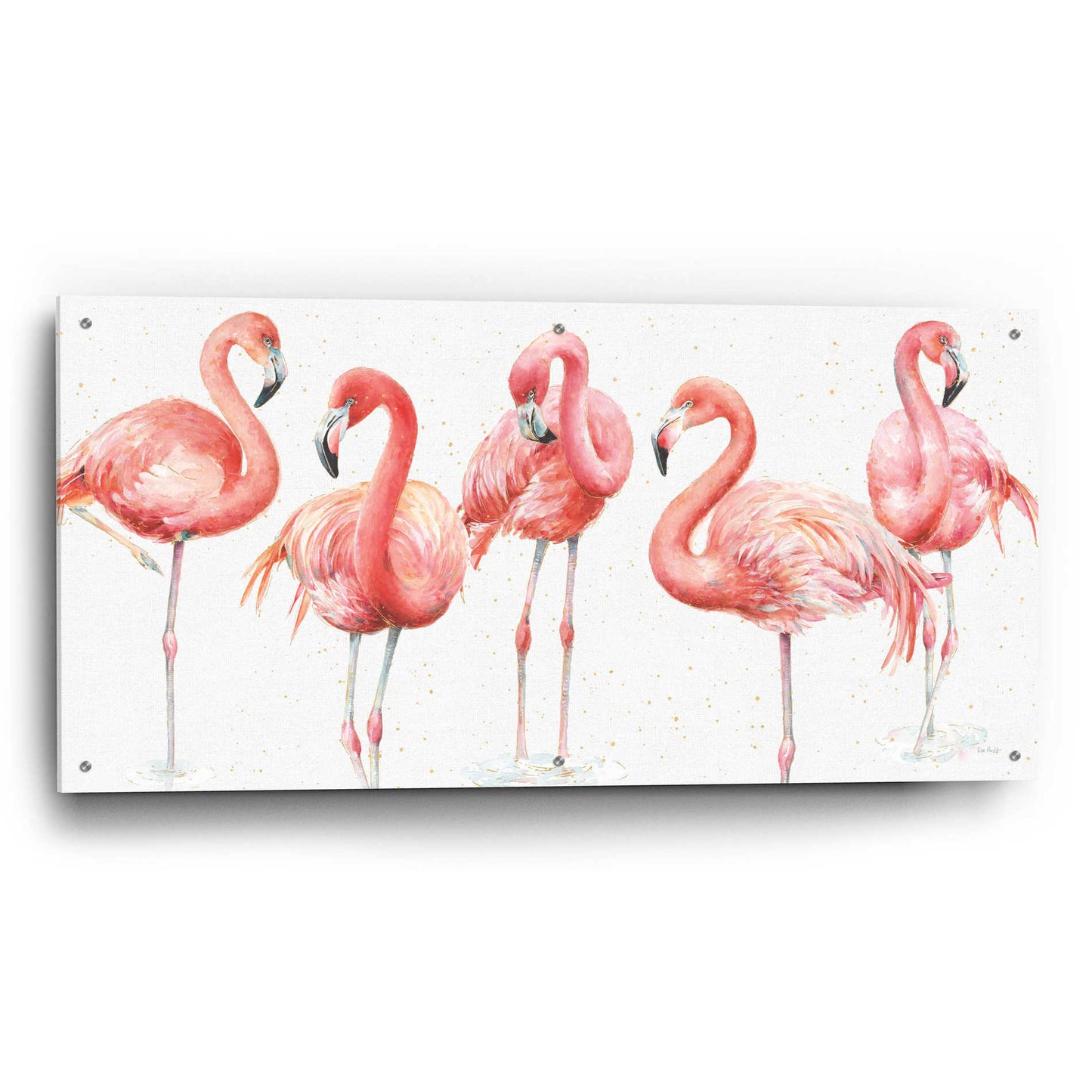 Epic Art 'Gracefully Pink VIII' by Lisa Audit, Acrylic Glass Wall Art,48x24