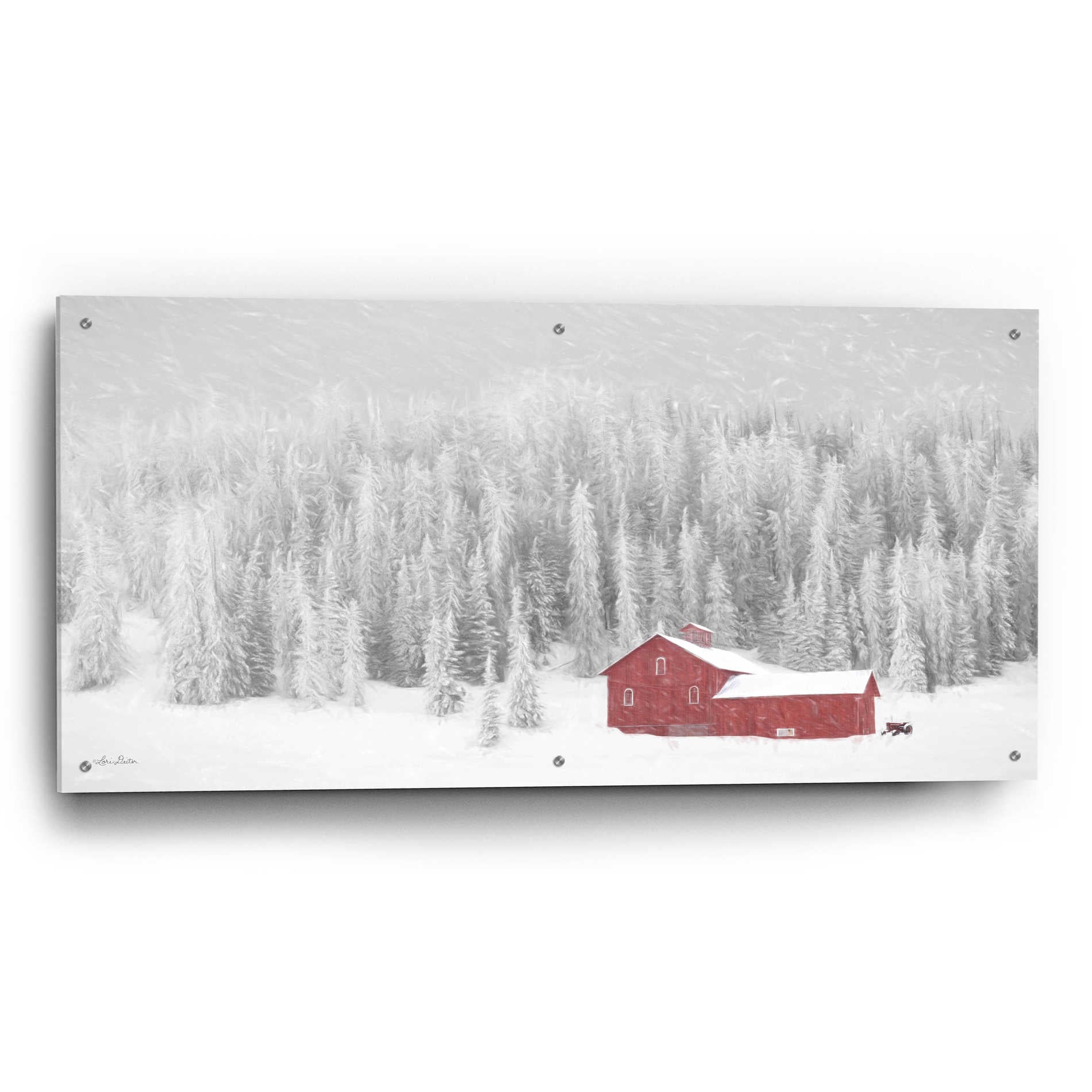 Epic Art 'Old Wyoming Barn' by Lori Deiter Acrylic Glass Wall Art,48x24