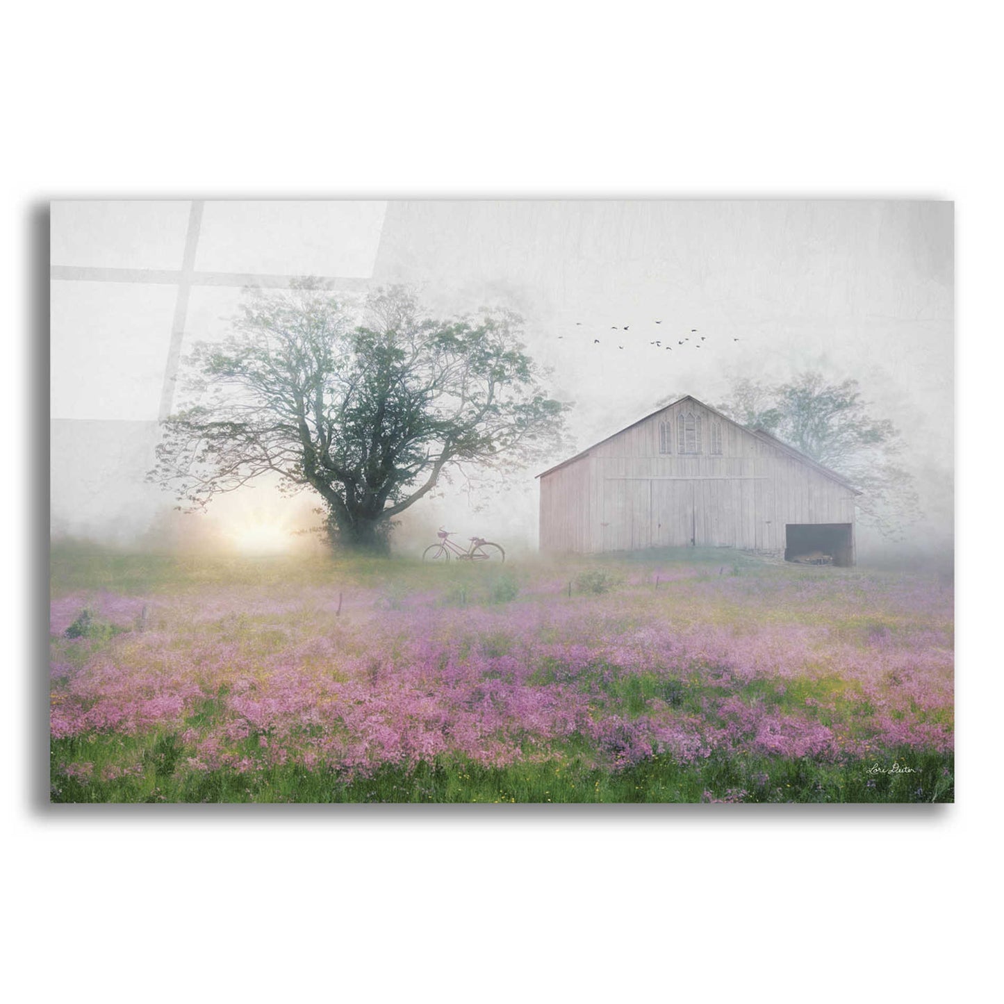 Epic Art 'Summer Sunrise' by Lori Deiter Acrylic Glass Wall Art,16x12