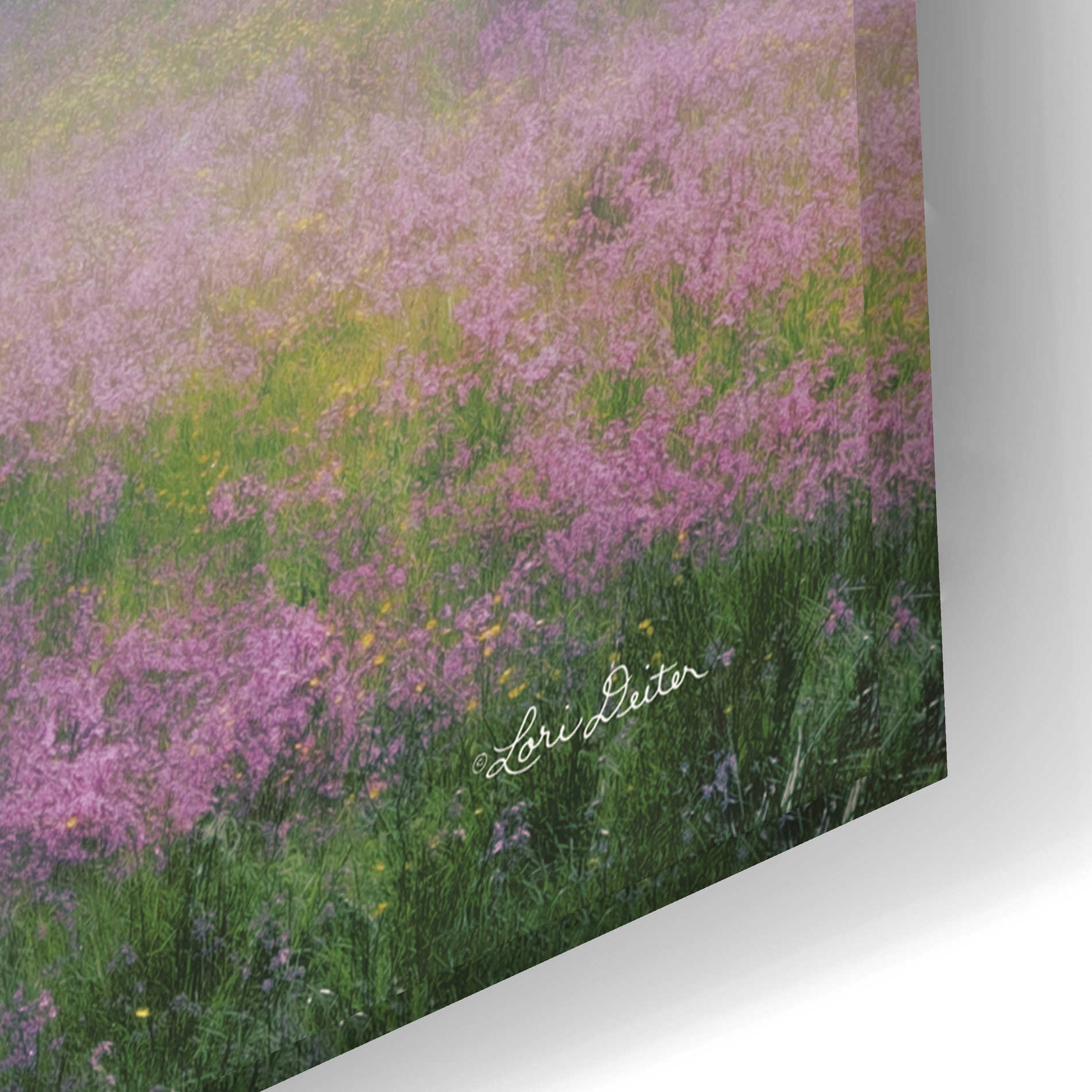 Epic Art 'Summer Sunrise' by Lori Deiter Acrylic Glass Wall Art,24x16