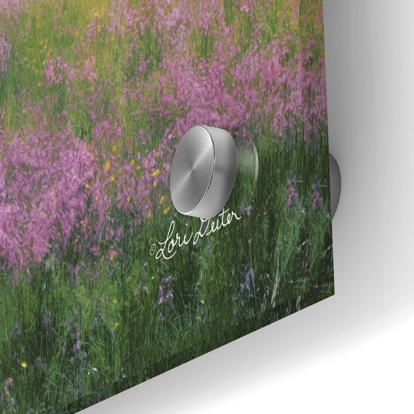 Epic Art 'Summer Sunrise' by Lori Deiter Acrylic Glass Wall Art,36x24