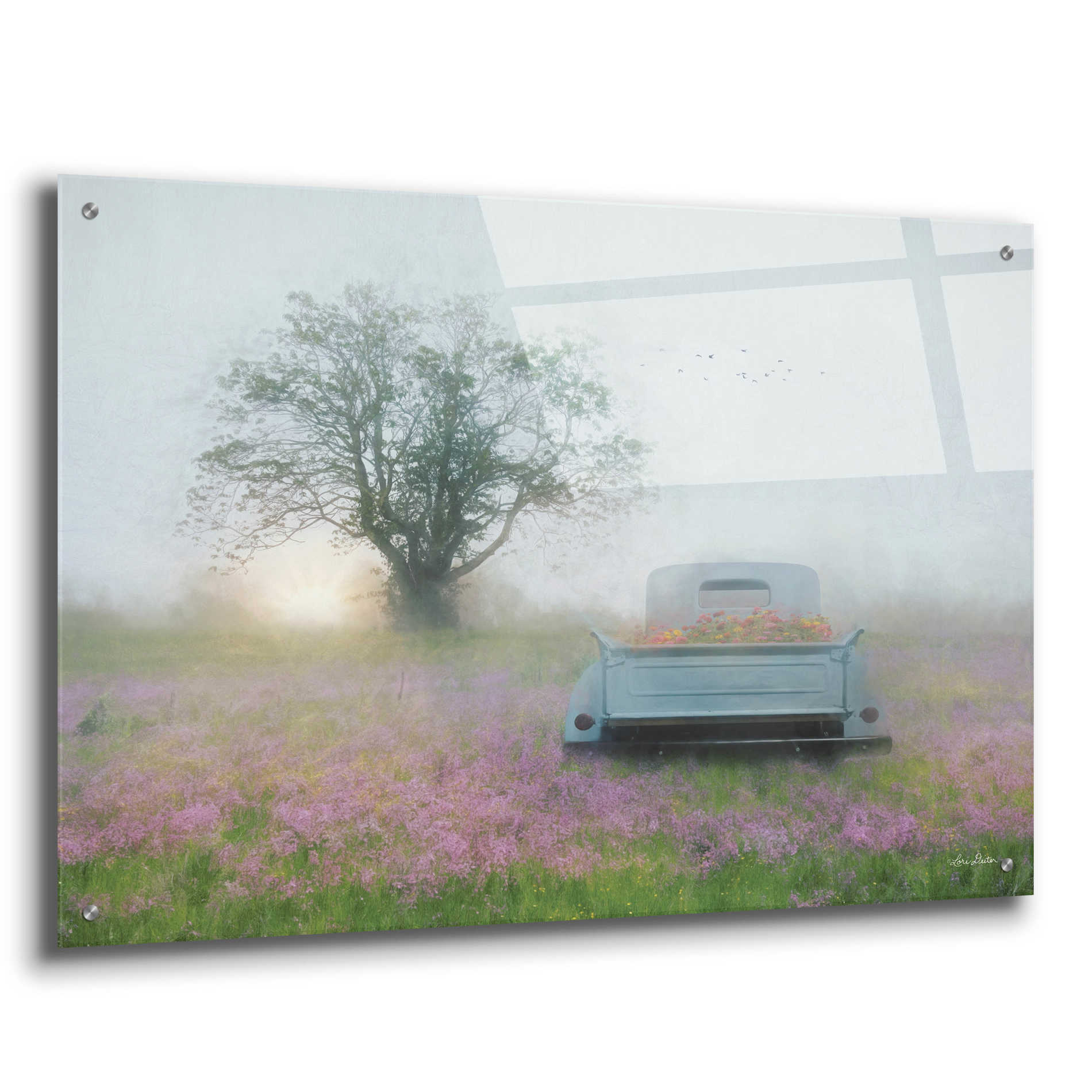 Epic Art 'Summer Wildflowers' by Lori Deiter Acrylic Glass Wall Art,36x24