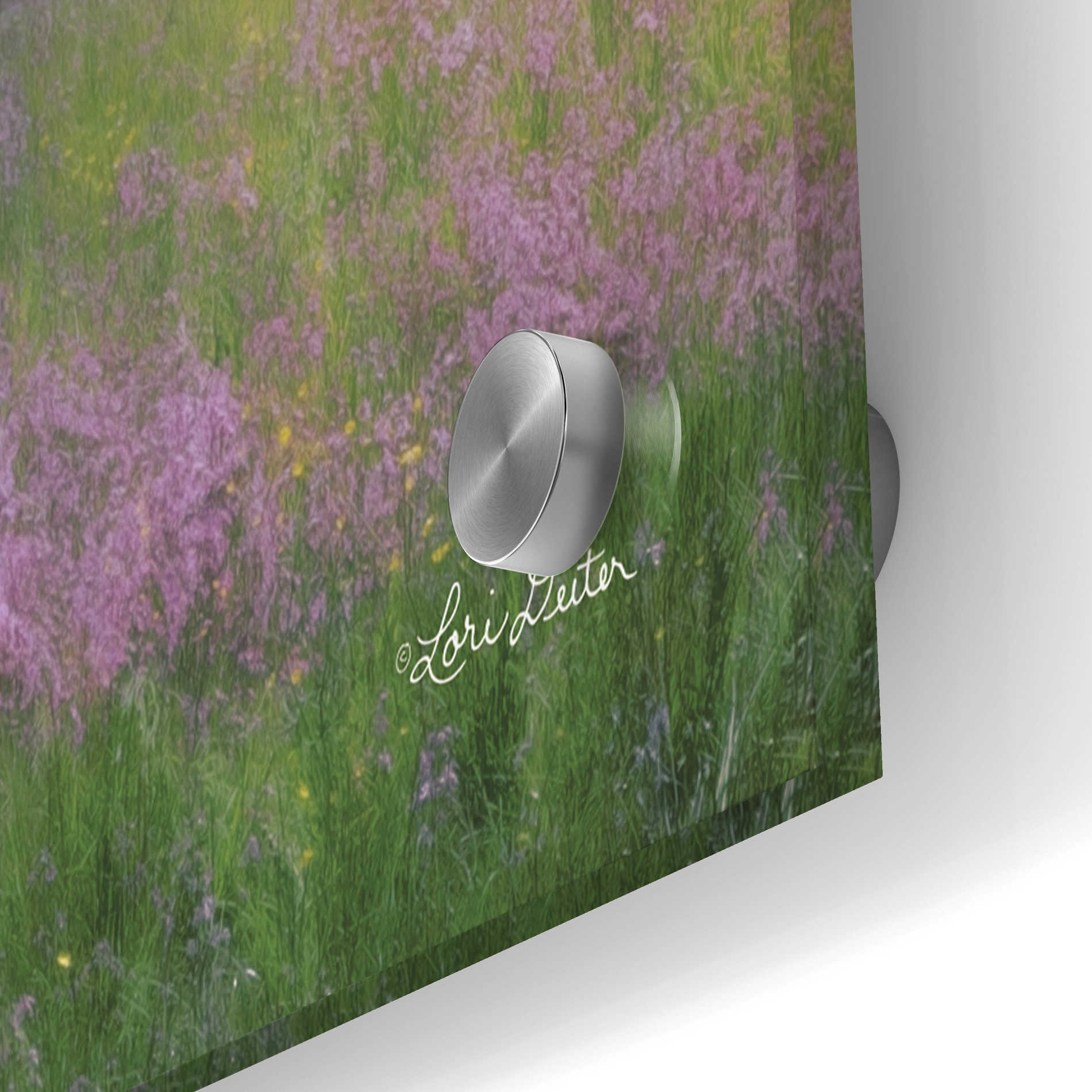 Epic Art 'Summer Wildflowers' by Lori Deiter Acrylic Glass Wall Art,36x24