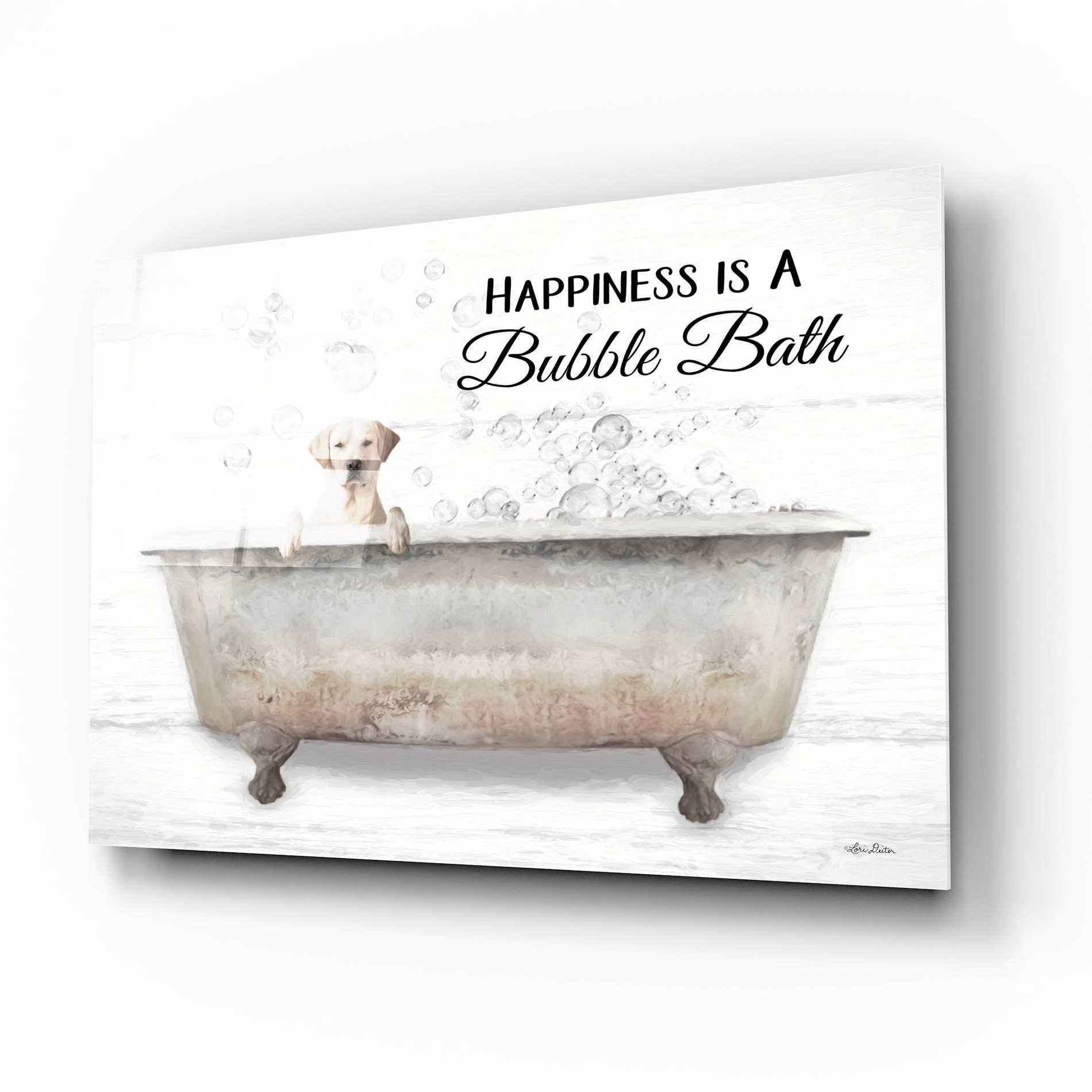 Epic Art 'Bubble Bath' by Lori Deiter Acrylic Glass Wall Art,16x12