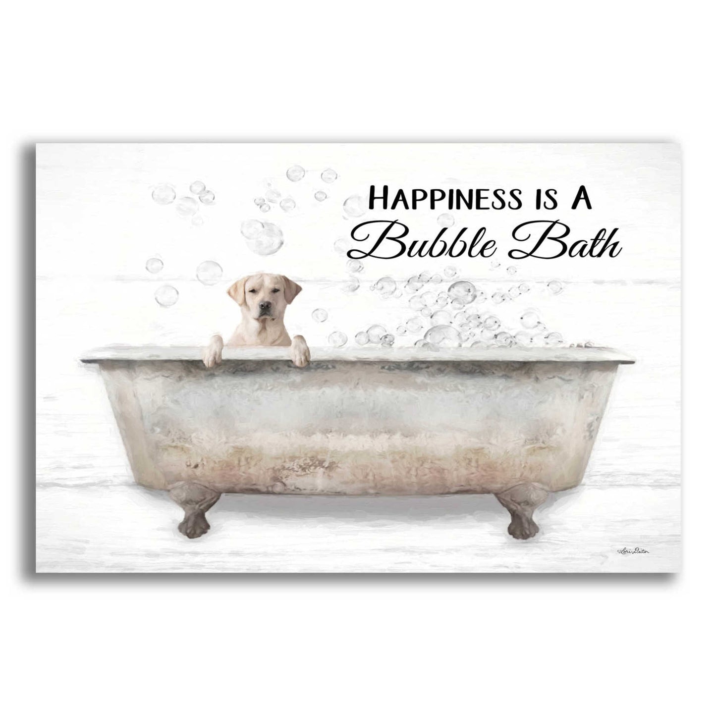 Epic Art 'Bubble Bath' by Lori Deiter Acrylic Glass Wall Art,16x12