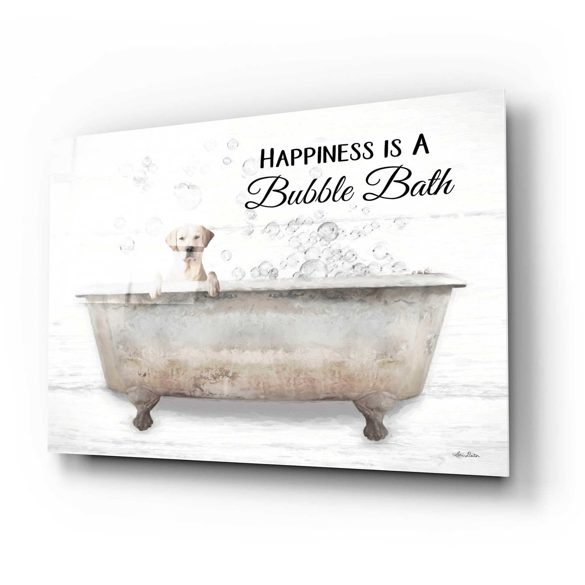 Epic Art 'Bubble Bath' by Lori Deiter Acrylic Glass Wall Art,24x16