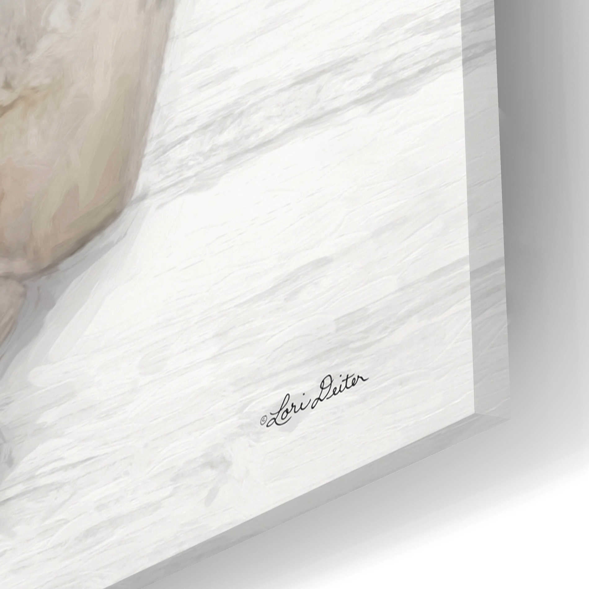 Epic Art 'Bubble Bath' by Lori Deiter Acrylic Glass Wall Art,24x16