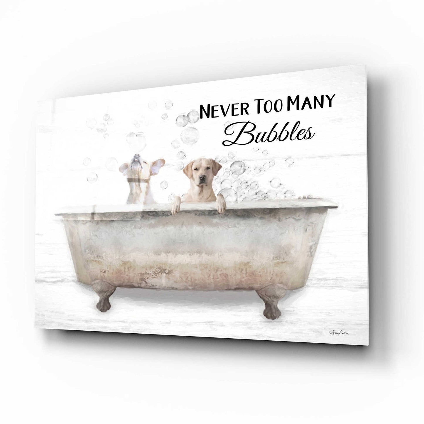 Epic Art 'Never Too Many Bubbles' by Lori Deiter Acrylic Glass Wall Art,16x12