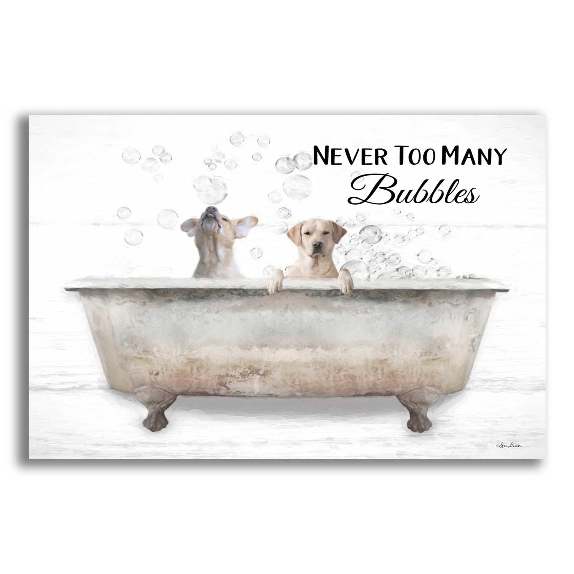 Epic Art 'Never Too Many Bubbles' by Lori Deiter Acrylic Glass Wall Art,16x12