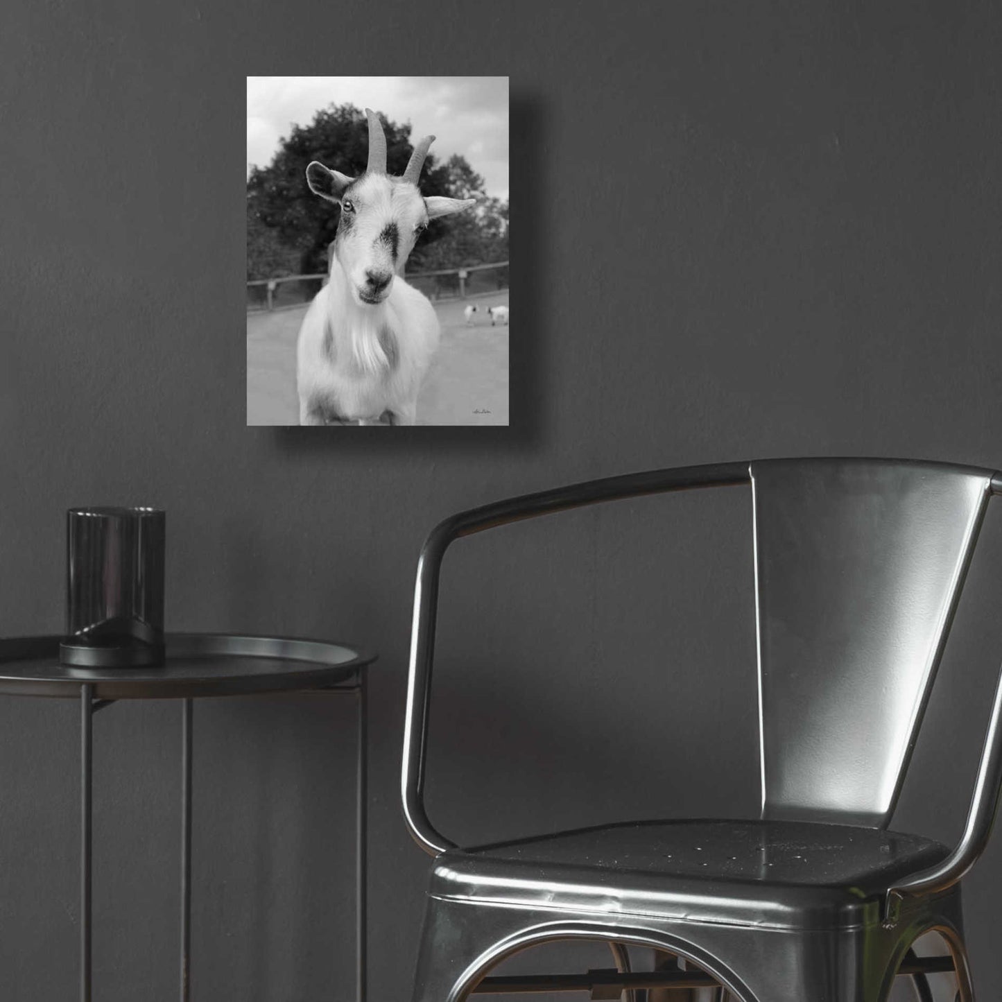 Epic Art 'Lake Tobias Goat II' by Lori Deiter Acrylic Glass Wall Art,12x16