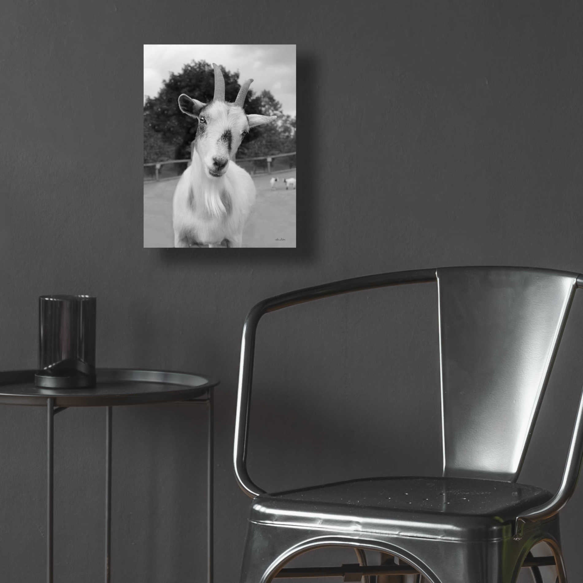 Epic Art 'Lake Tobias Goat II' by Lori Deiter Acrylic Glass Wall Art,12x16